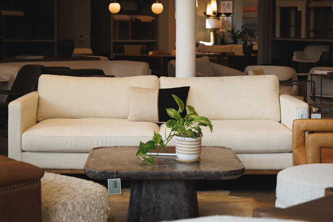 A Whole New World at Montrose: Native Citizen