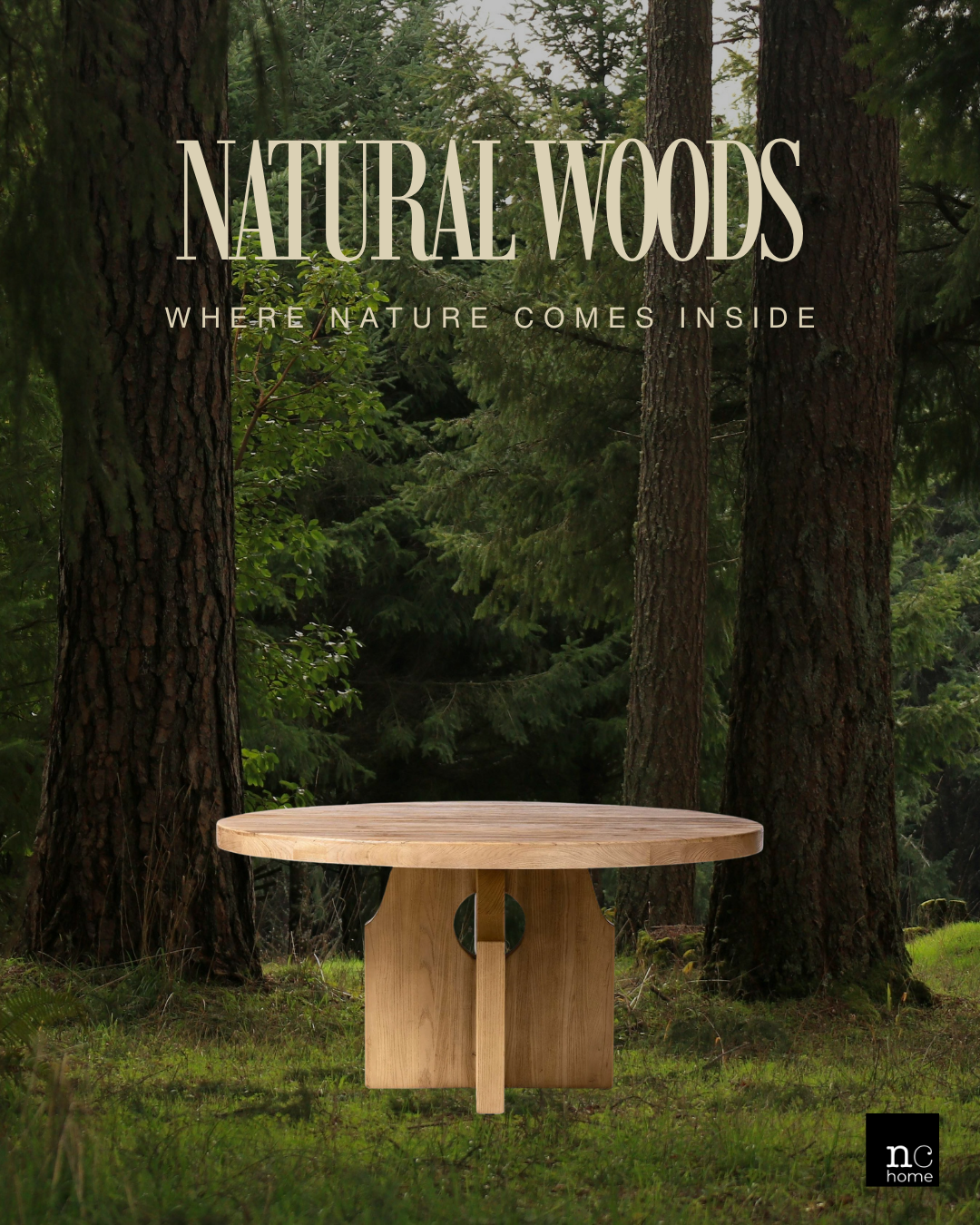 Bringing Nature Inside: How Organic Design Creates a More Beautiful Home