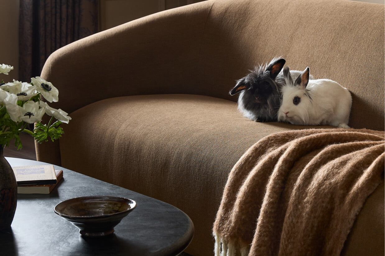Pet-Friendly Fabrics That Still Feel Luxurious