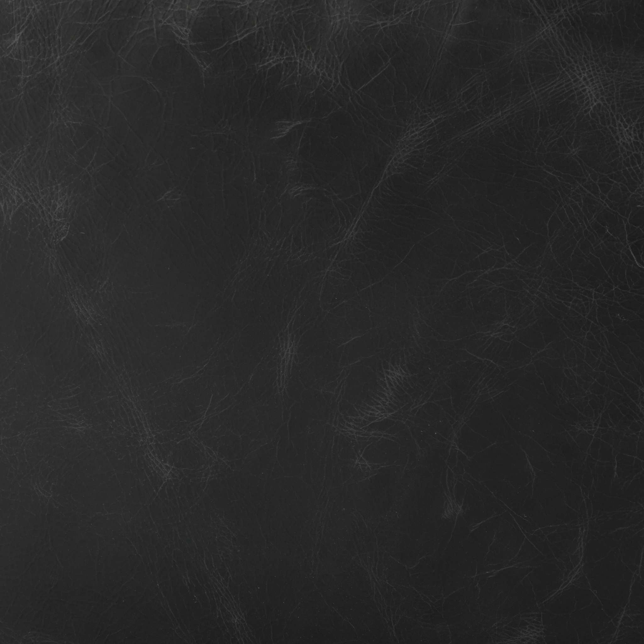 Braden Dining Arm Chair