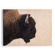 American Bison-Maple Box 40"x30"