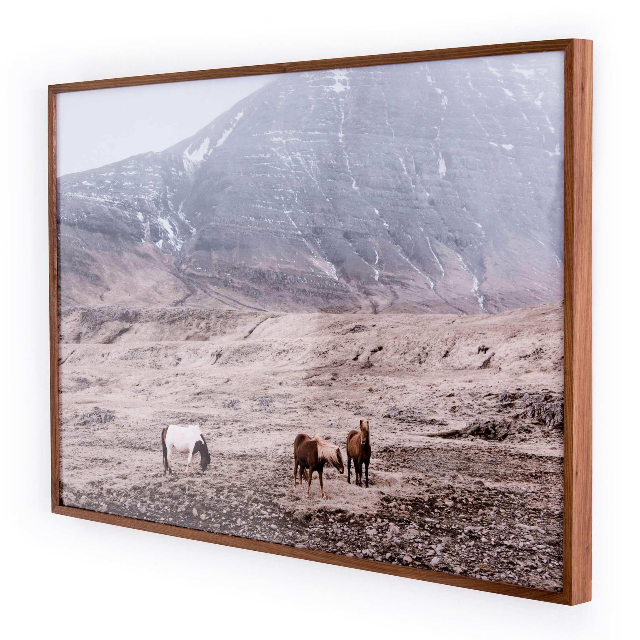 Wild Horses-Walnut 2.5