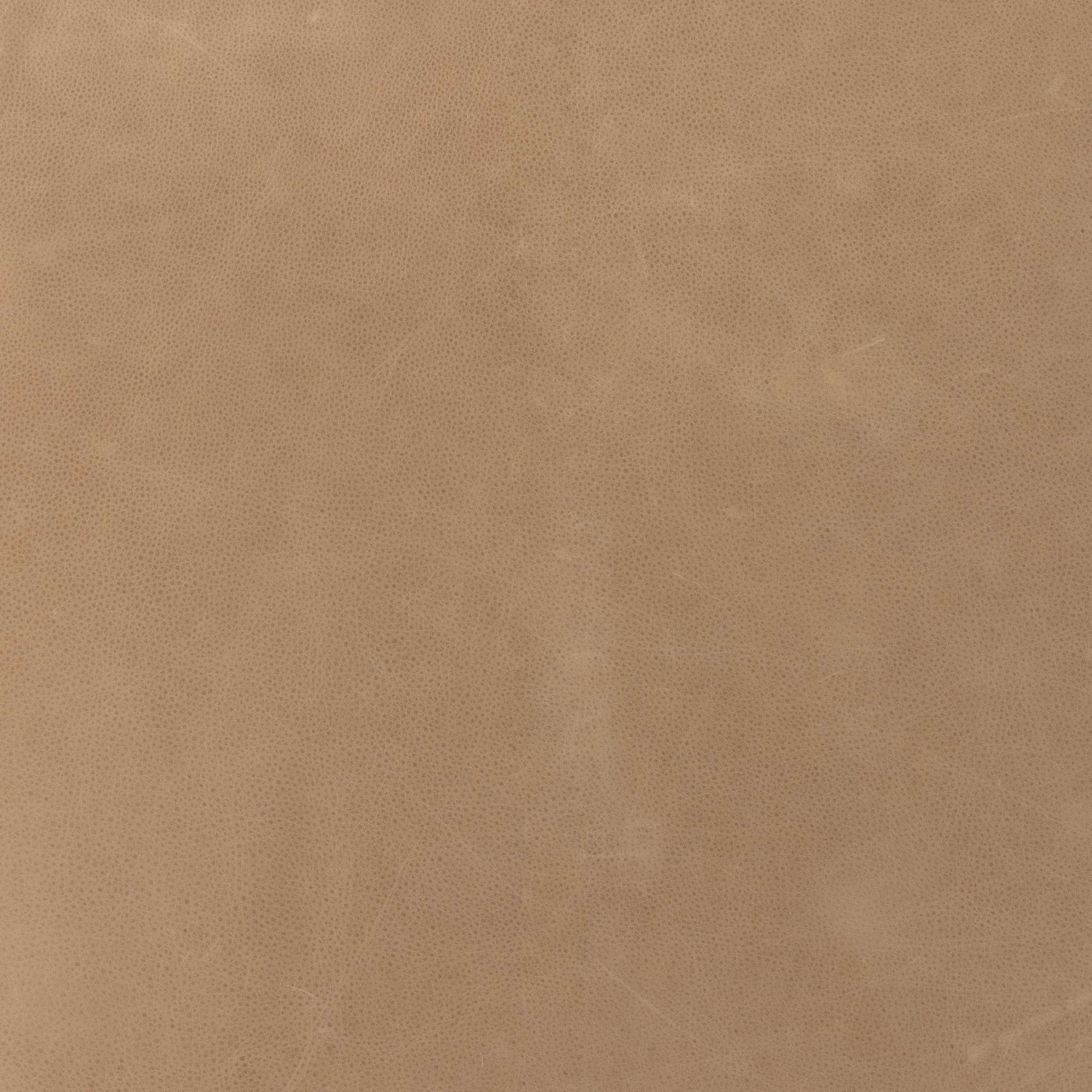 Palermo Nude
