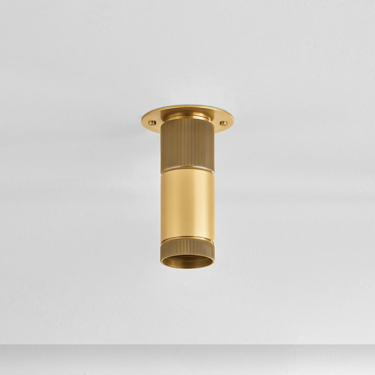 dighton flush mount