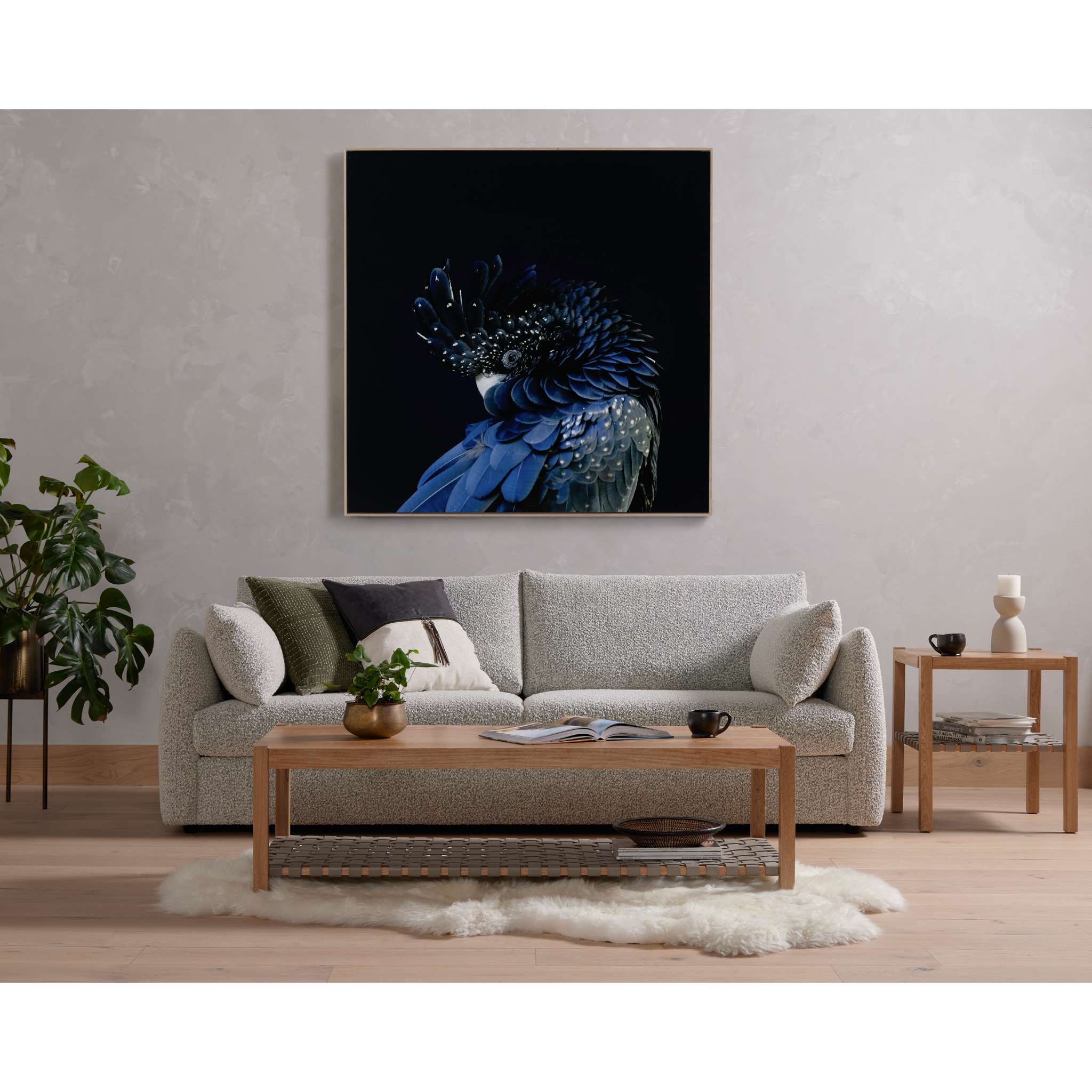 Red-Tailed Black Cockatoo By Getty Image