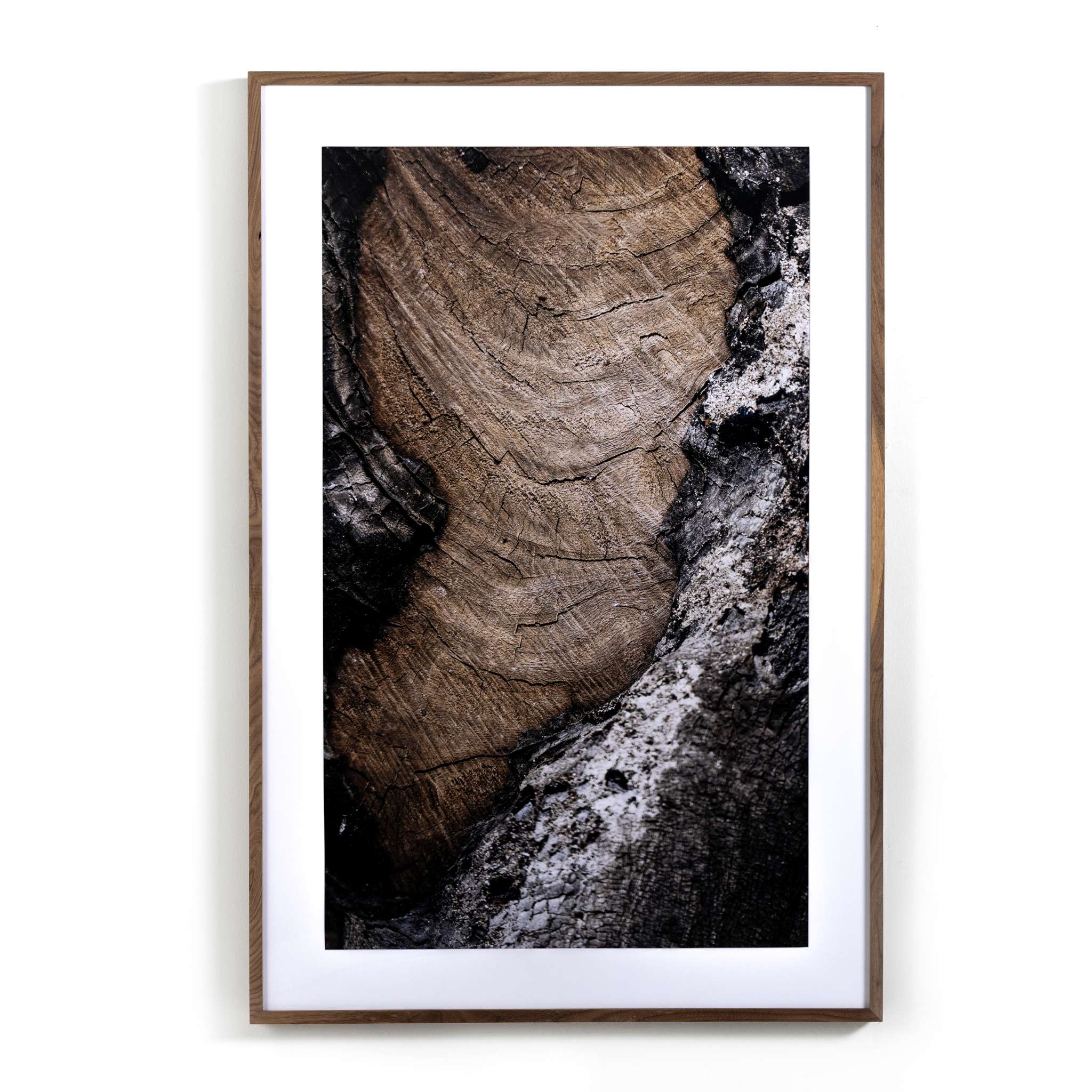 Char Vi By Fh Art Studio