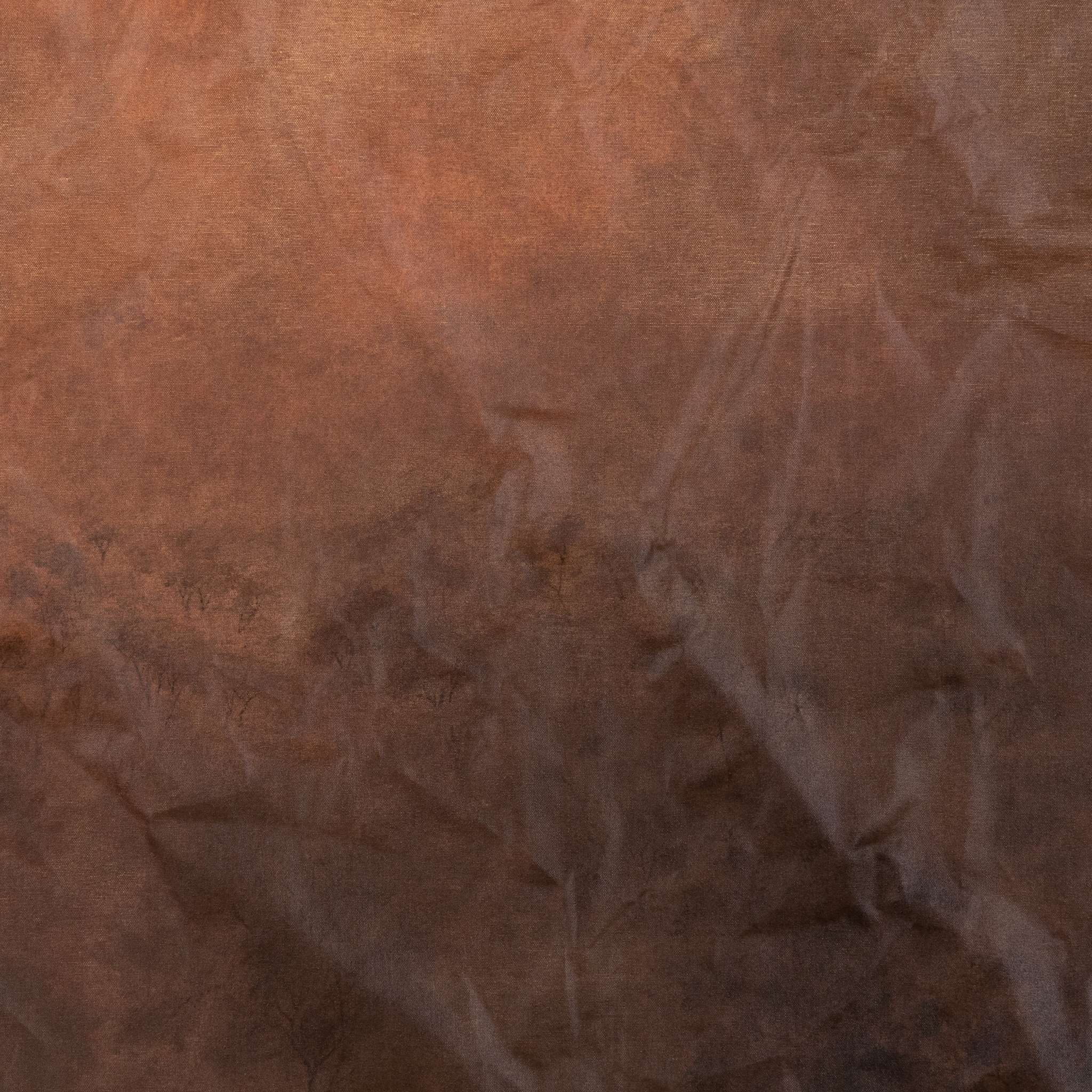 Flesh Of The Earth By Aileen Fitzgerald