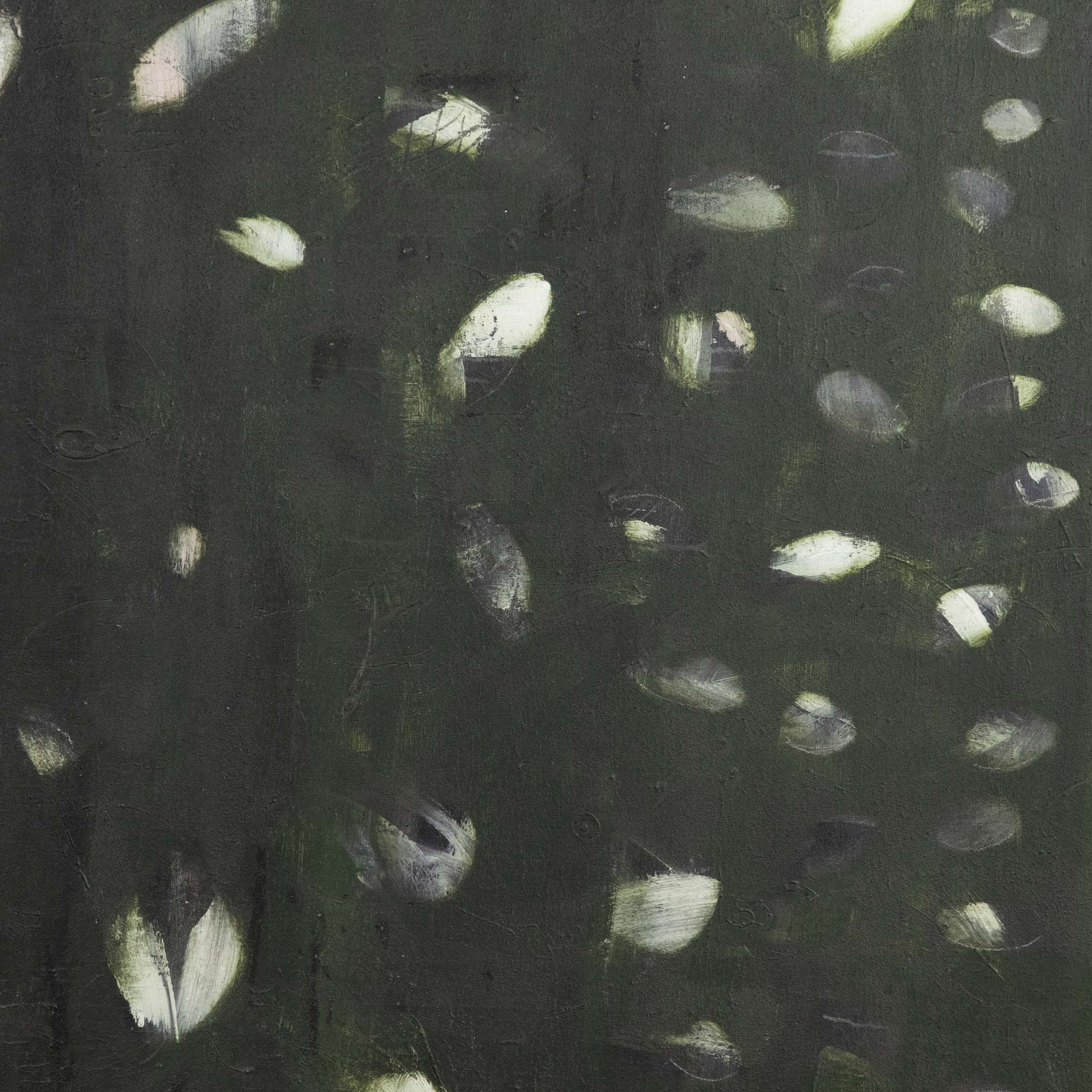 Verde Oculus By Jamie Beckwith