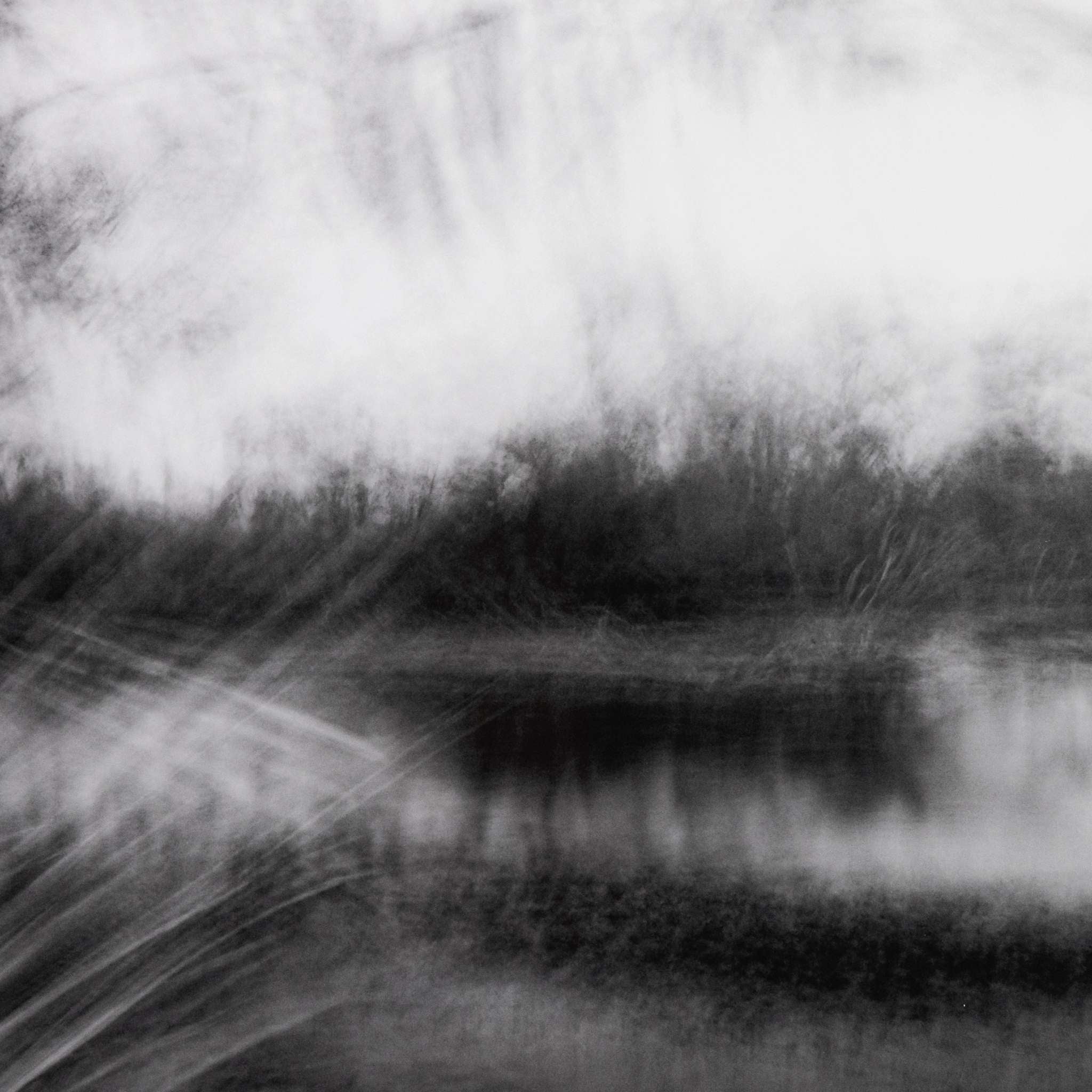 Humidity Hangs Like Frog Skin By Toni To