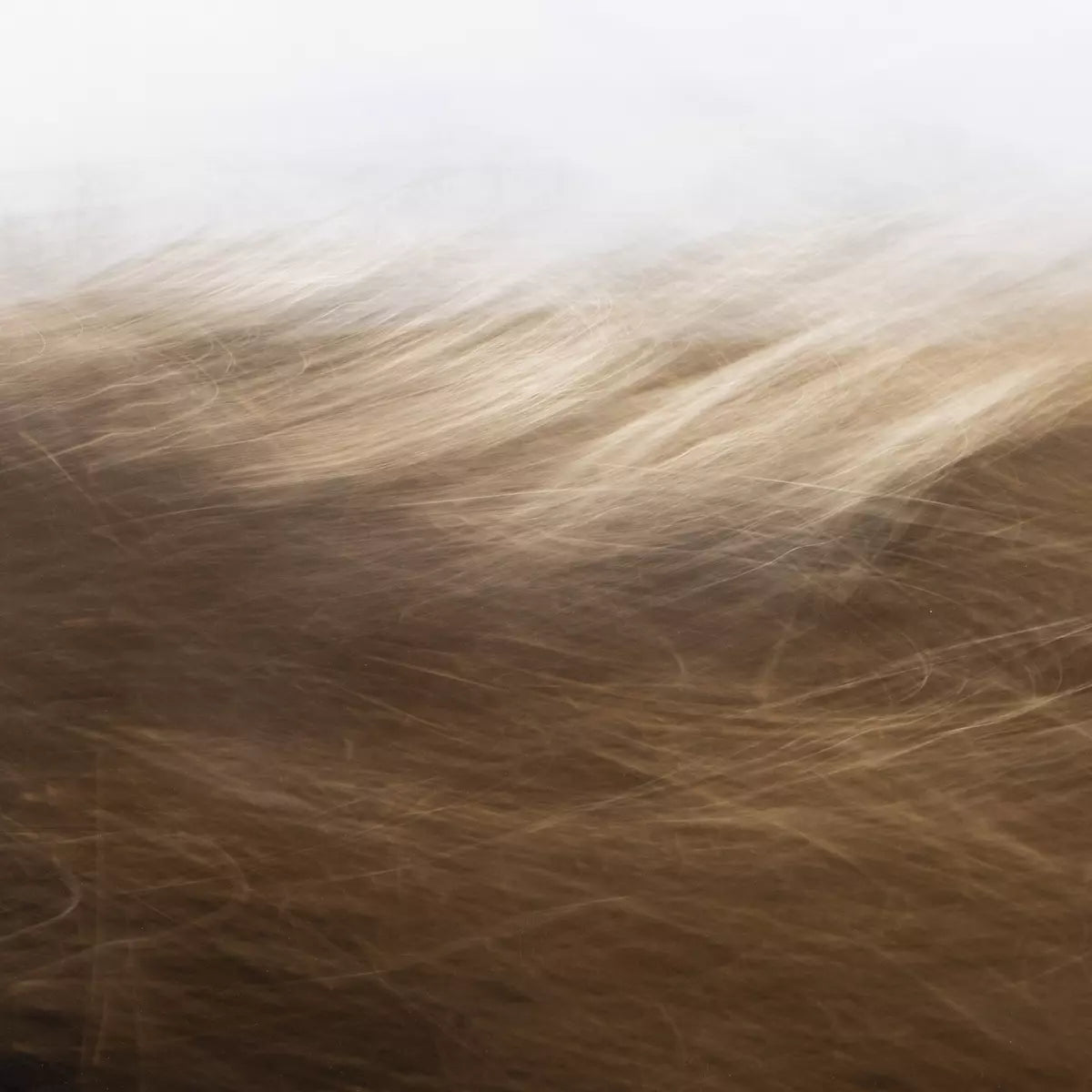 Reality Unfurled by Toni Toscano