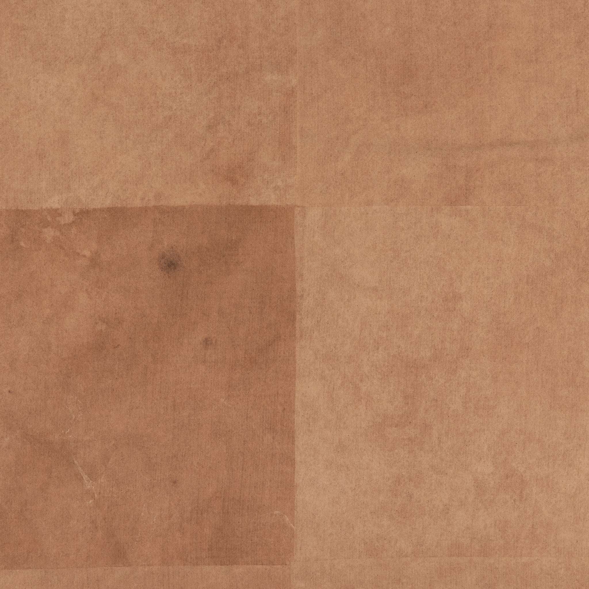 Morning Coffee By Molly Supplee