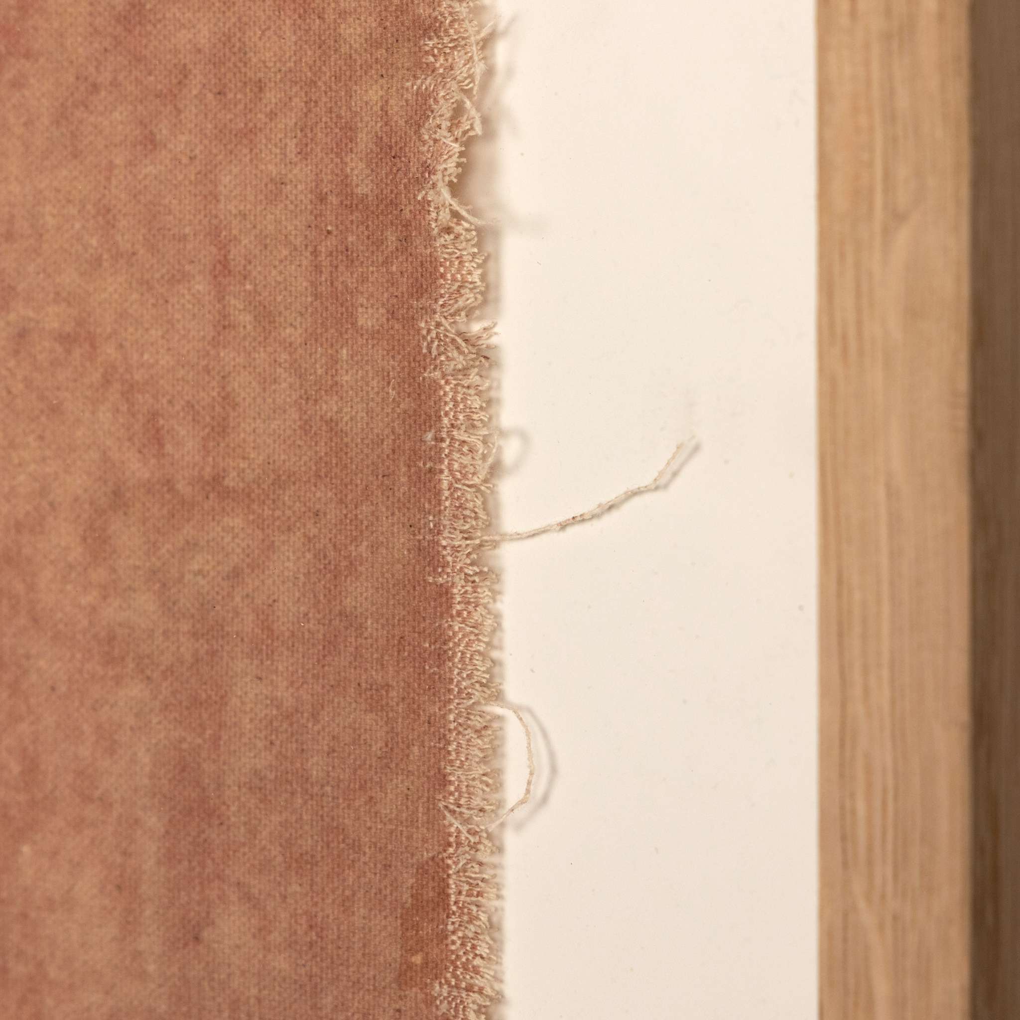 Morning Ritual By Molly Supplee