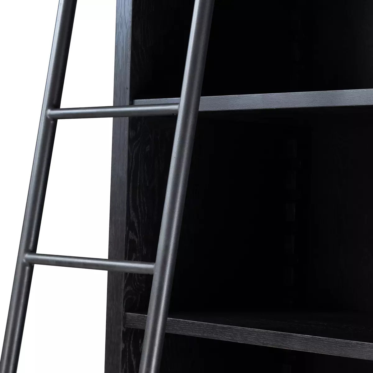 Admont Bookcase and Ladder