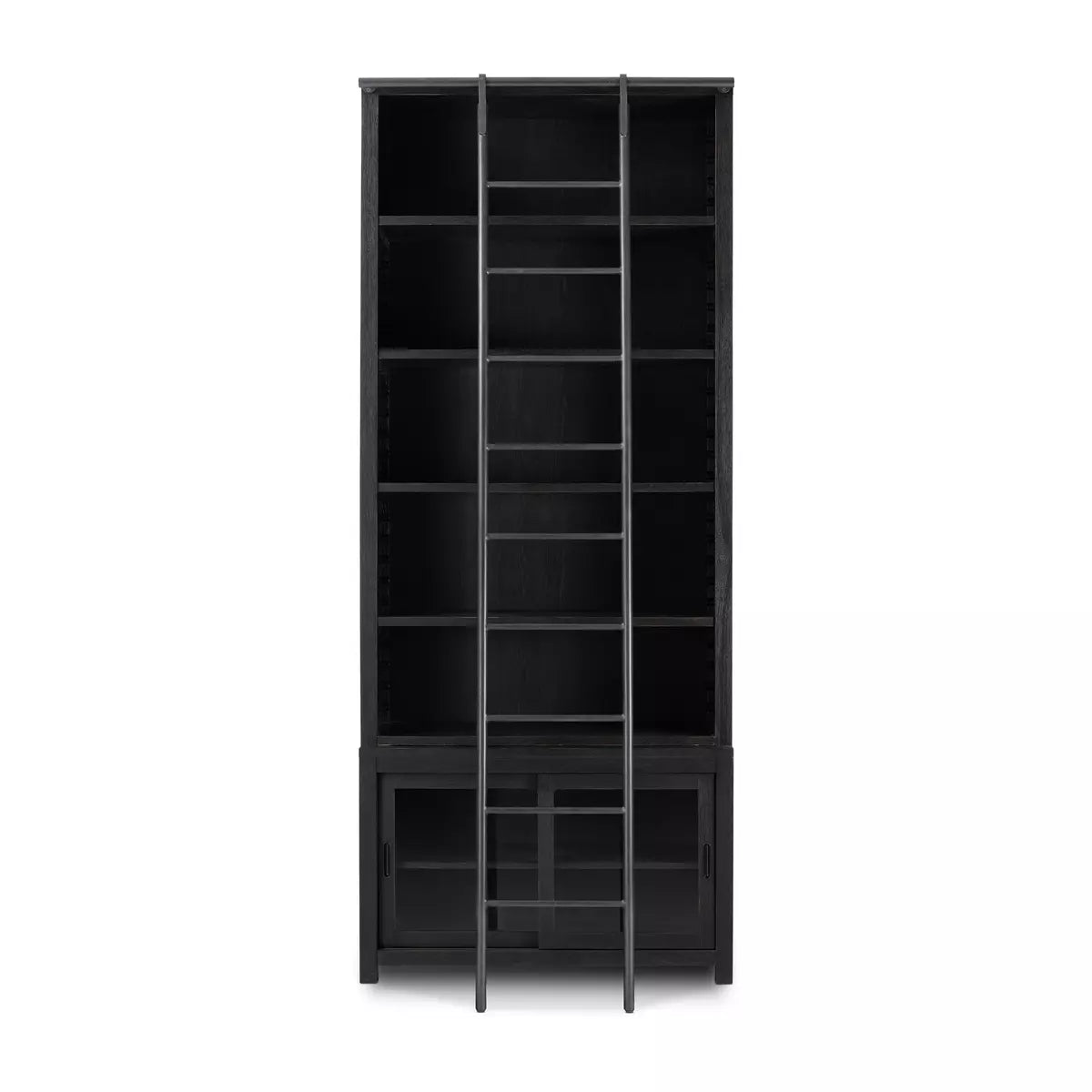Admont Bookcase and Ladder