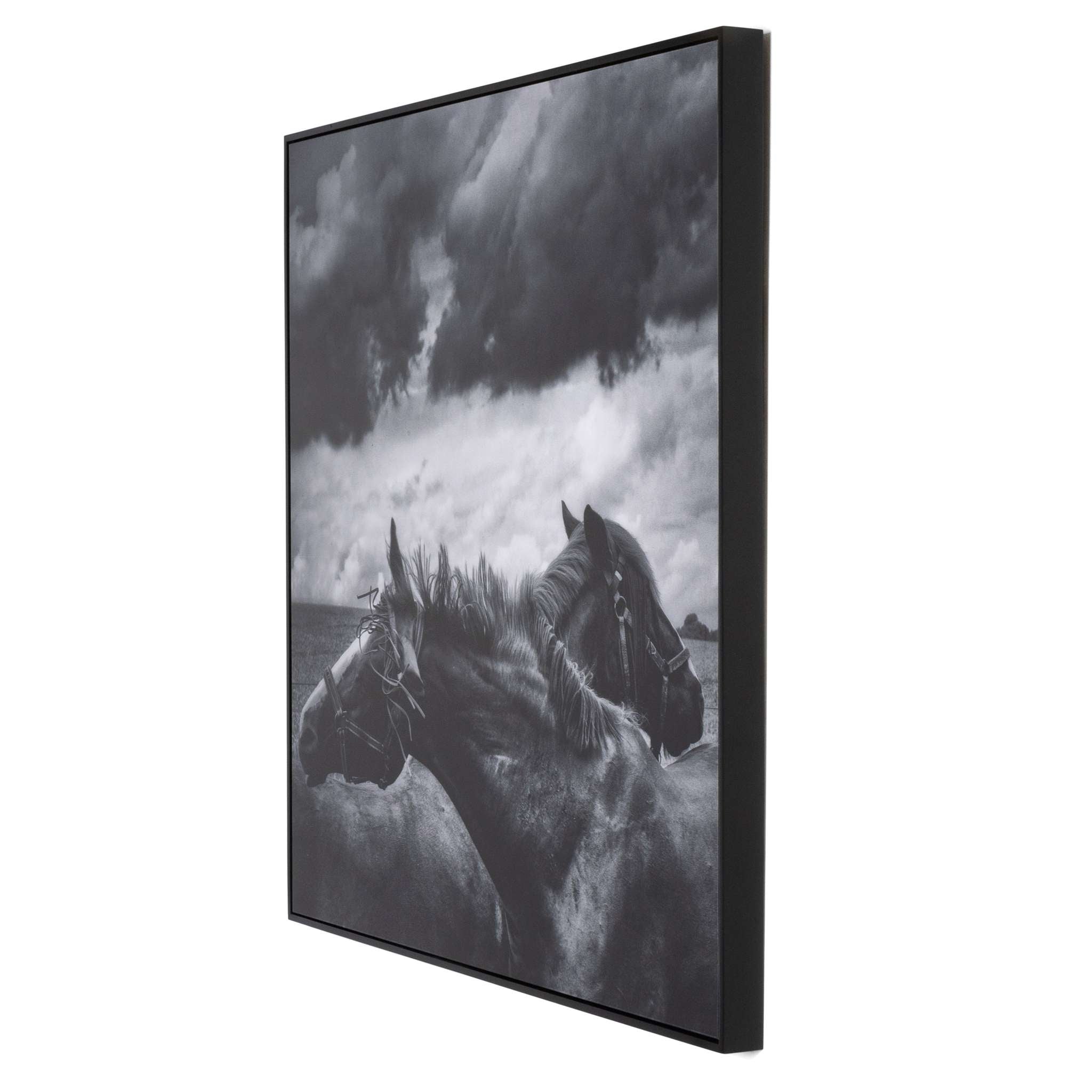 Horses Pair By Getty Images