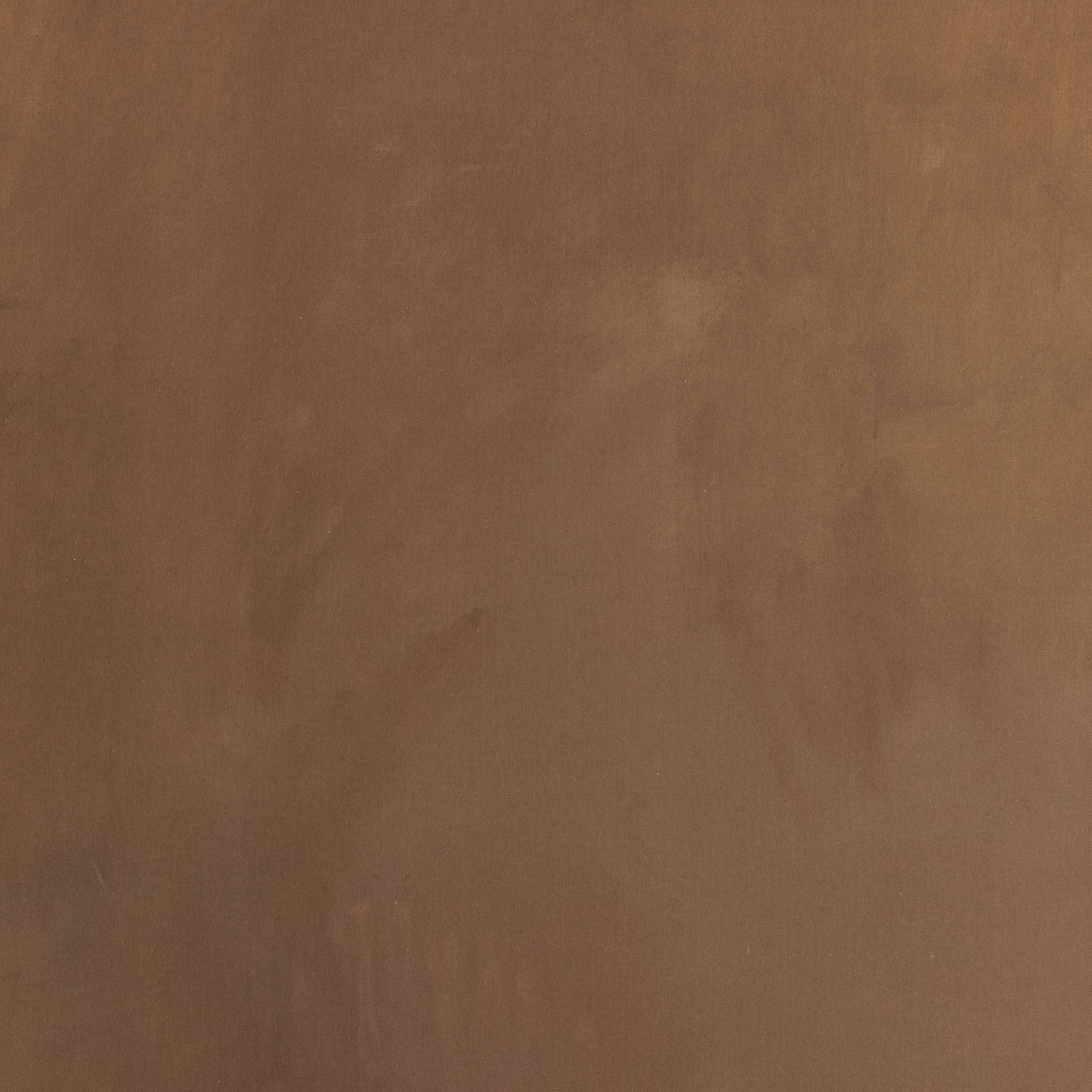 In The Quiet Earth By Melody Joy Mcmunn-