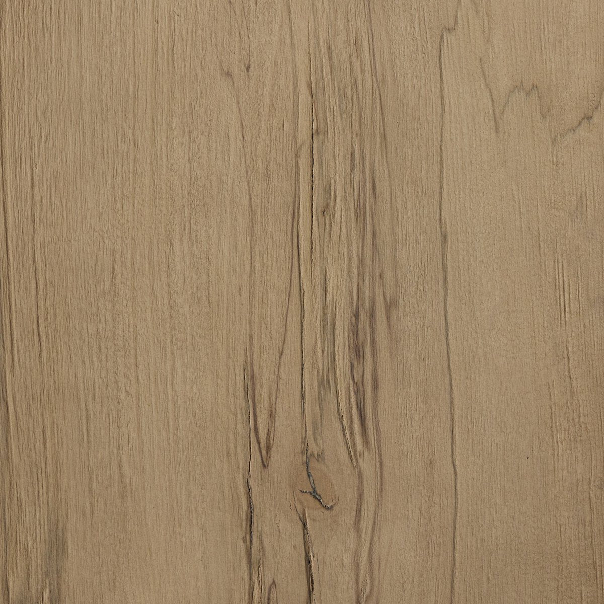 Bleached Alder