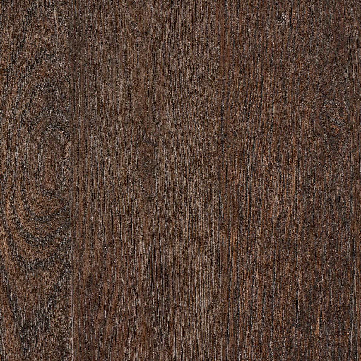 Ashen Oak