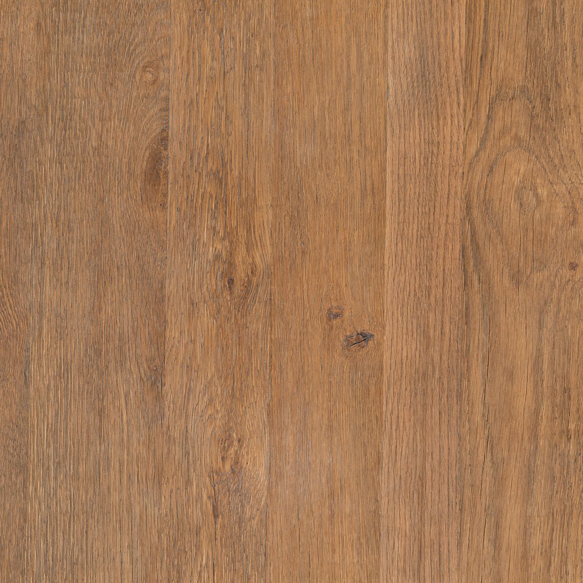 Washed Old Oak
