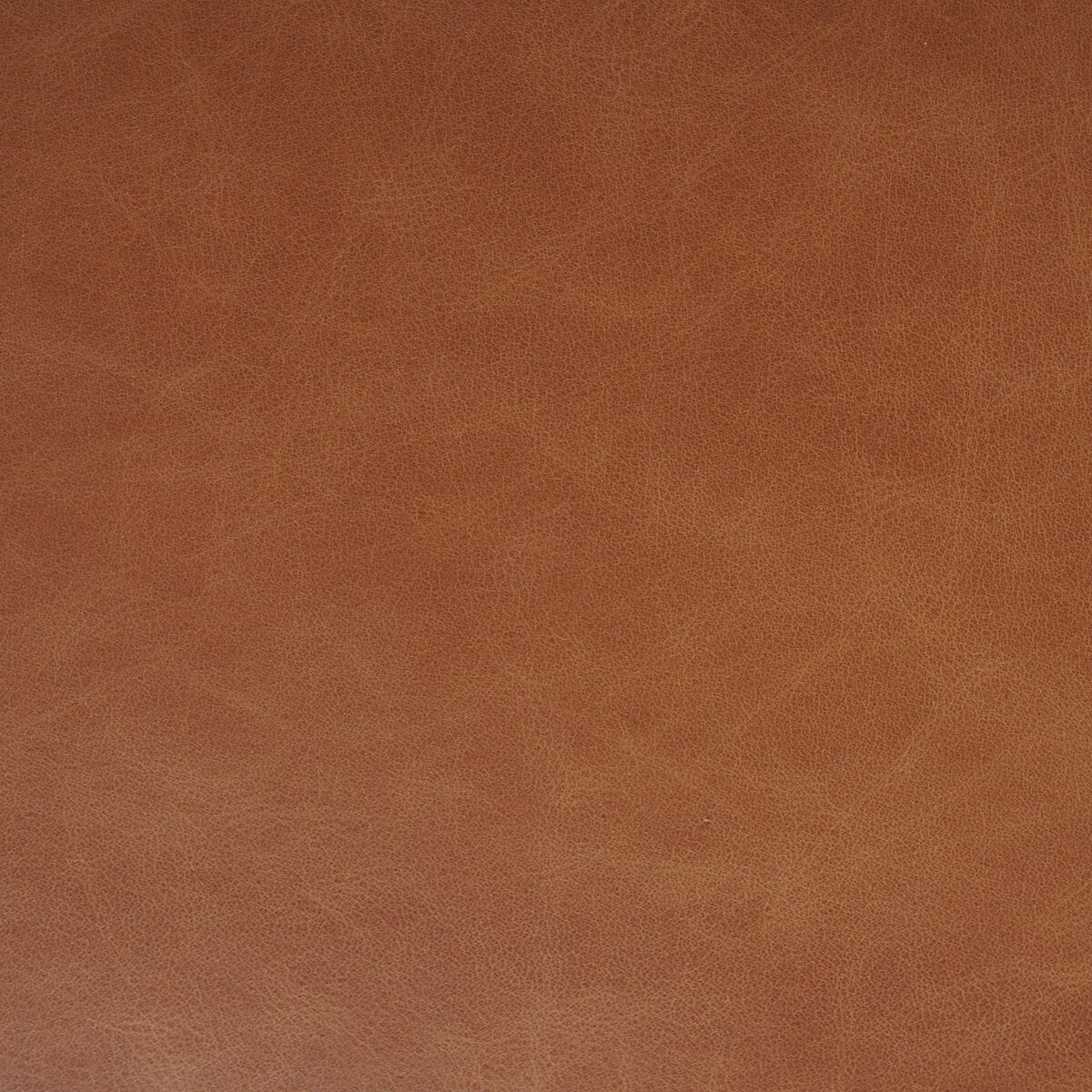 Sonoma Chestnut