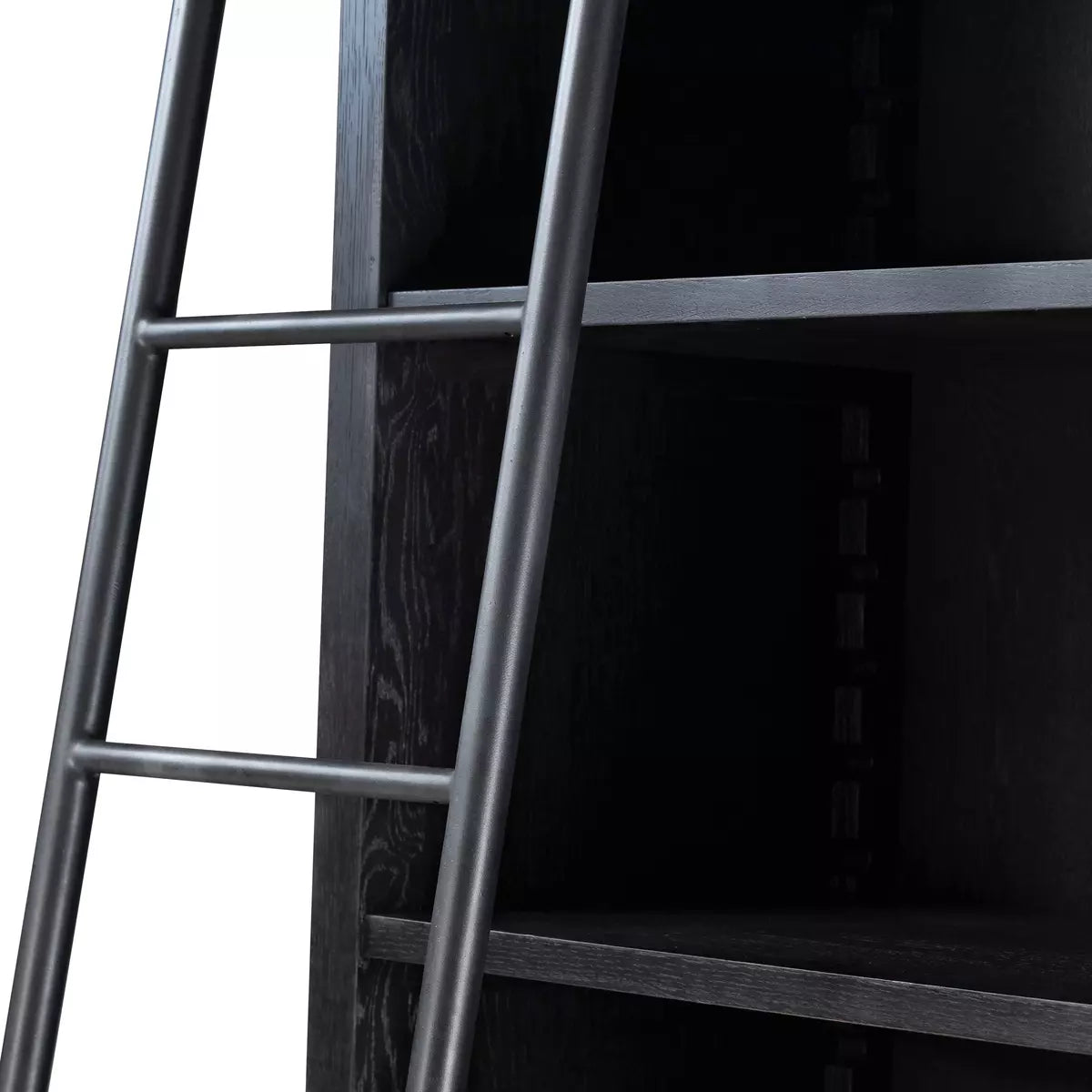 Admont Double Bookcase With Ladder