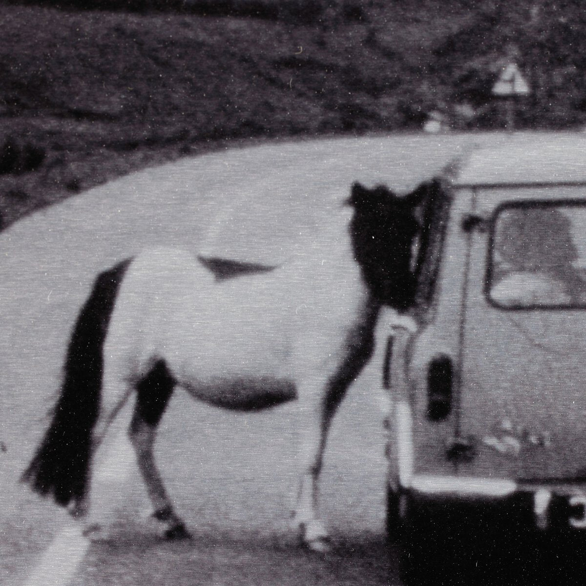 On The Road III by Annie Spratt