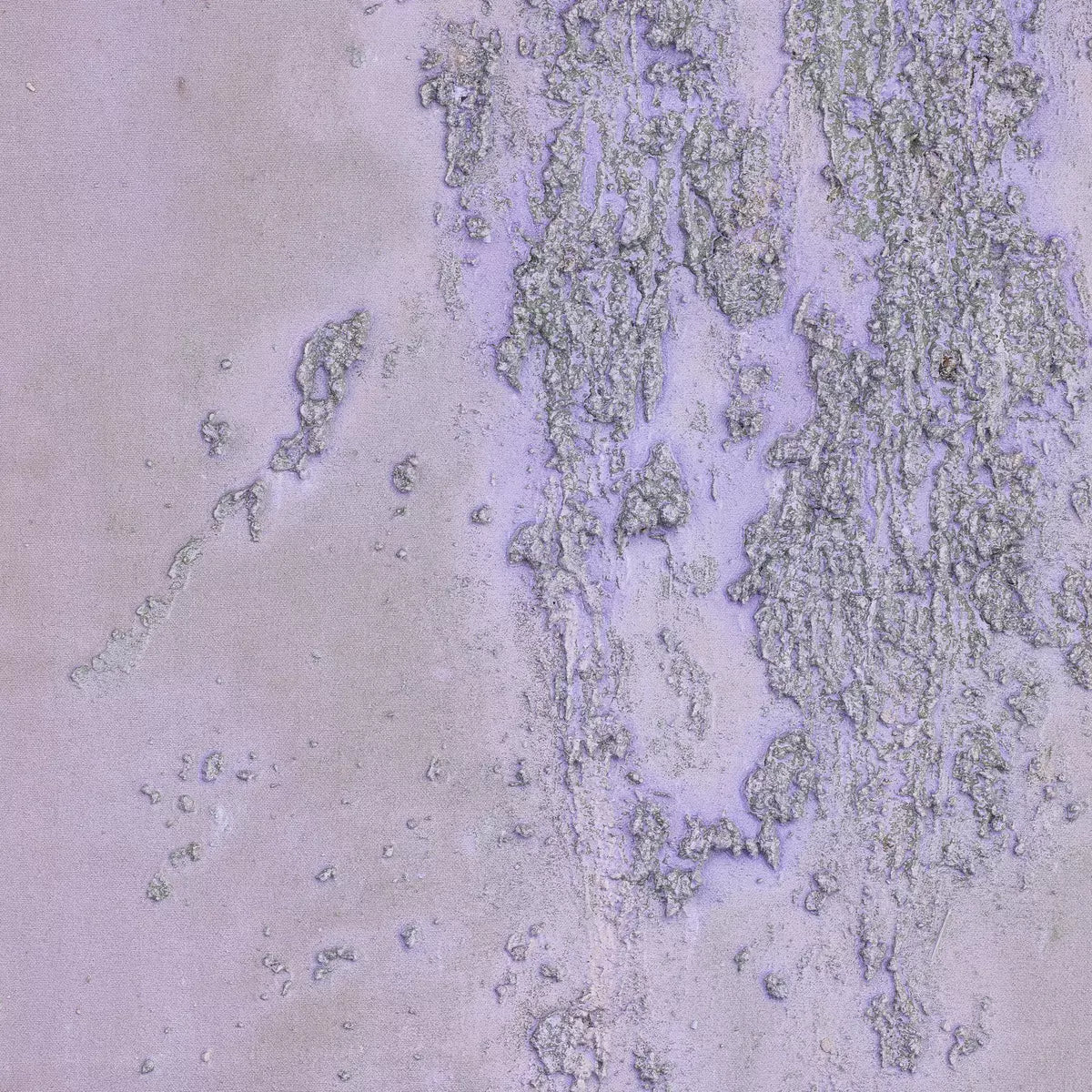 Where The Wild Lilacs Grow by Tyler Guinn