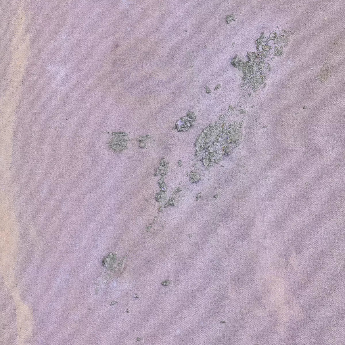 Where The Wild Lilacs Grow by Tyler Guinn