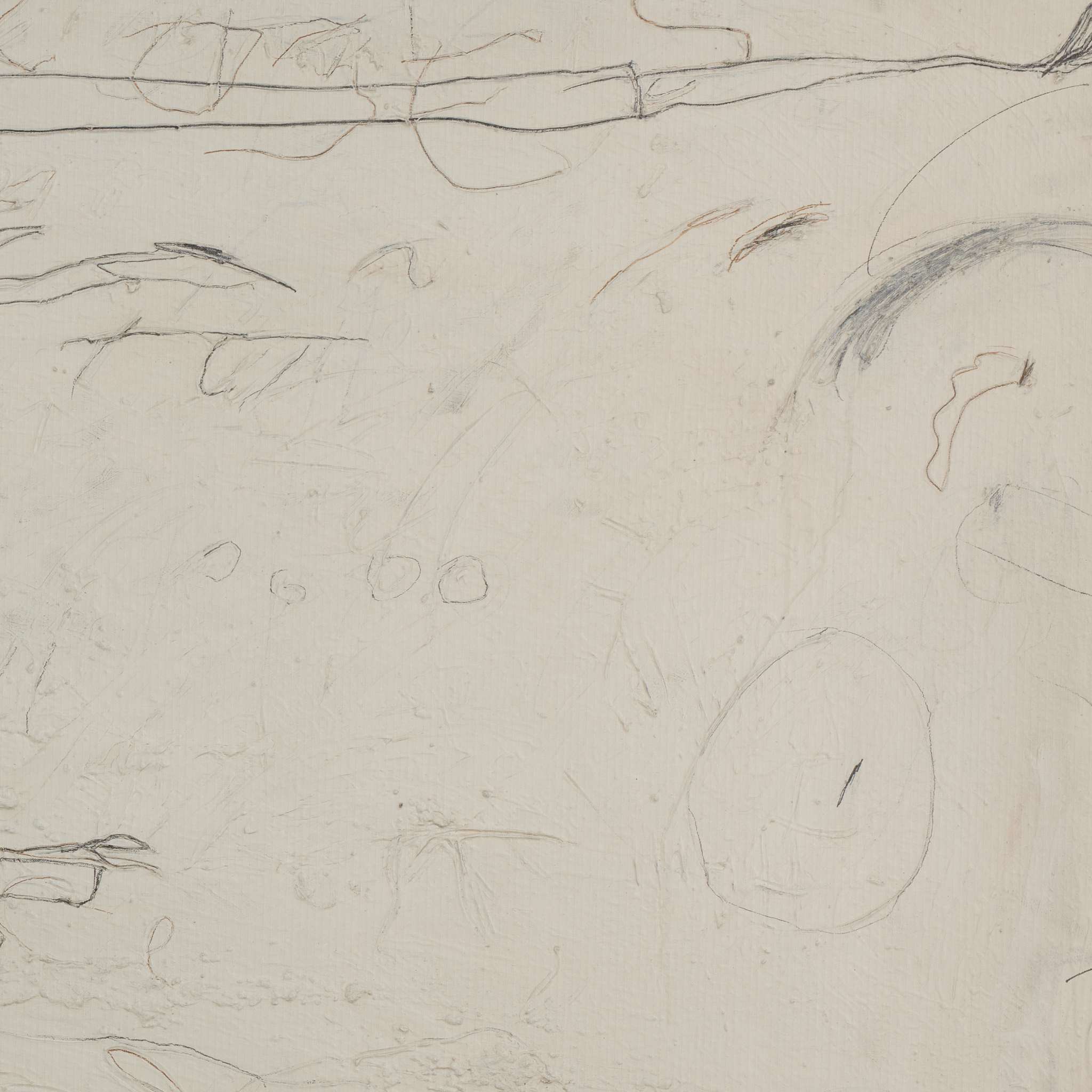 Examination Of The Rose By Tyler Guinn