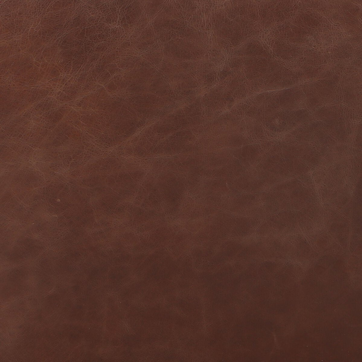 Anton Bar + Counter Stool