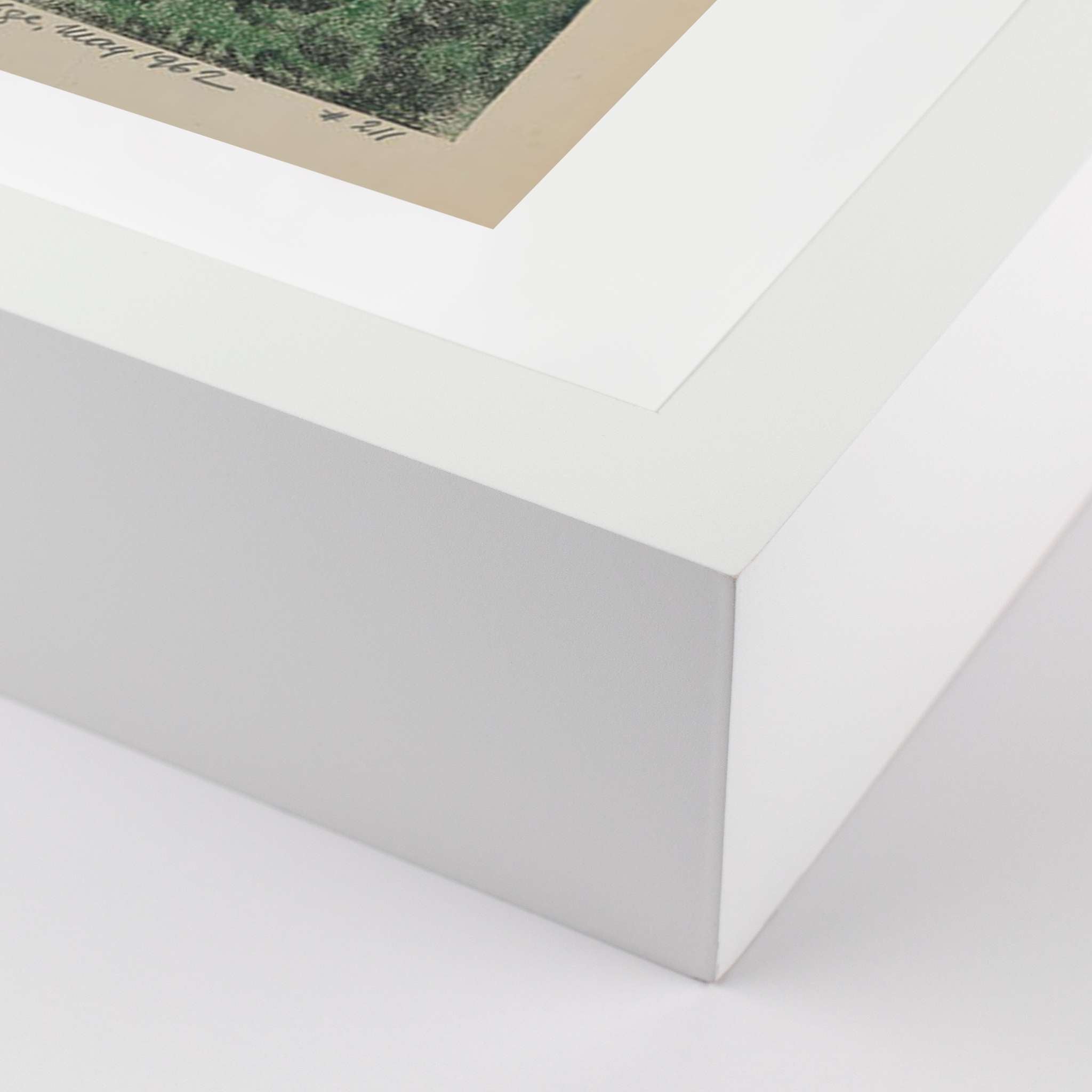 Elephant By Pepi Sprohge