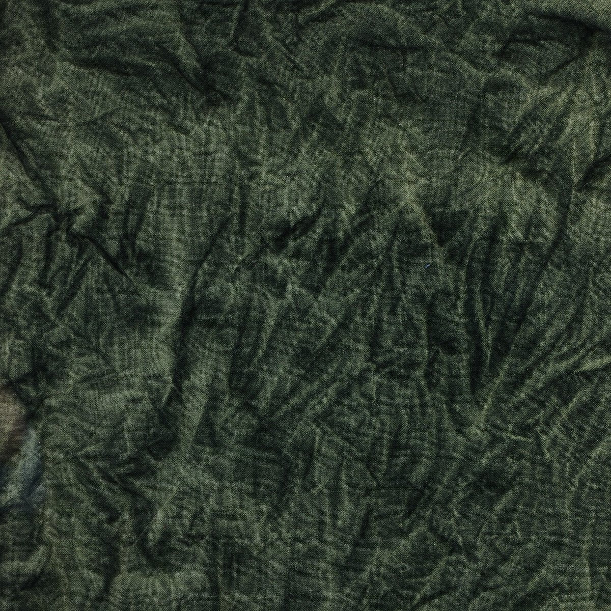 River Of Grass by Molly Franken