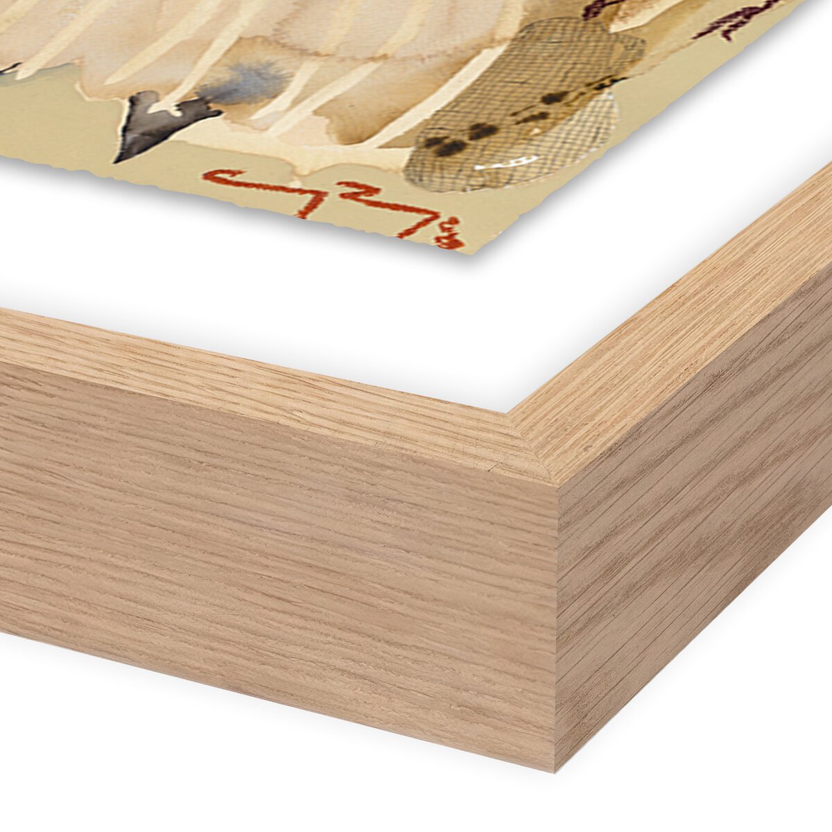 Sun King by Caroline Pinney