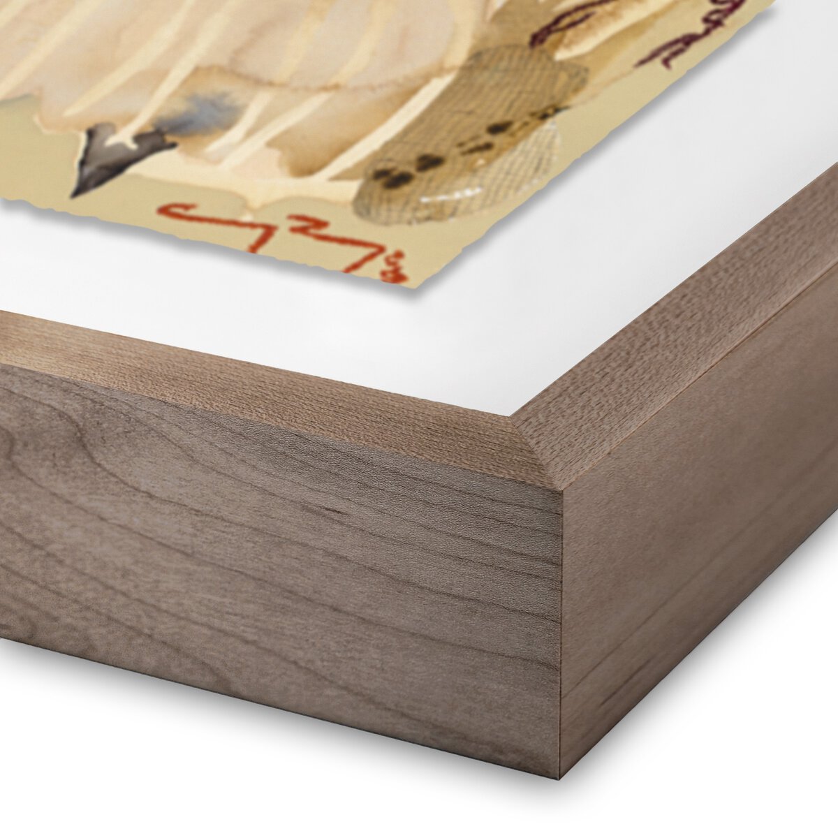 Sun King by Caroline Pinney