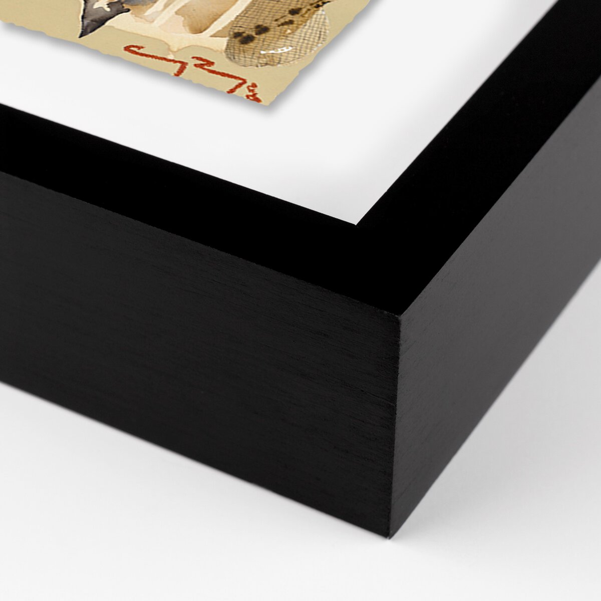 Sun King by Caroline Pinney