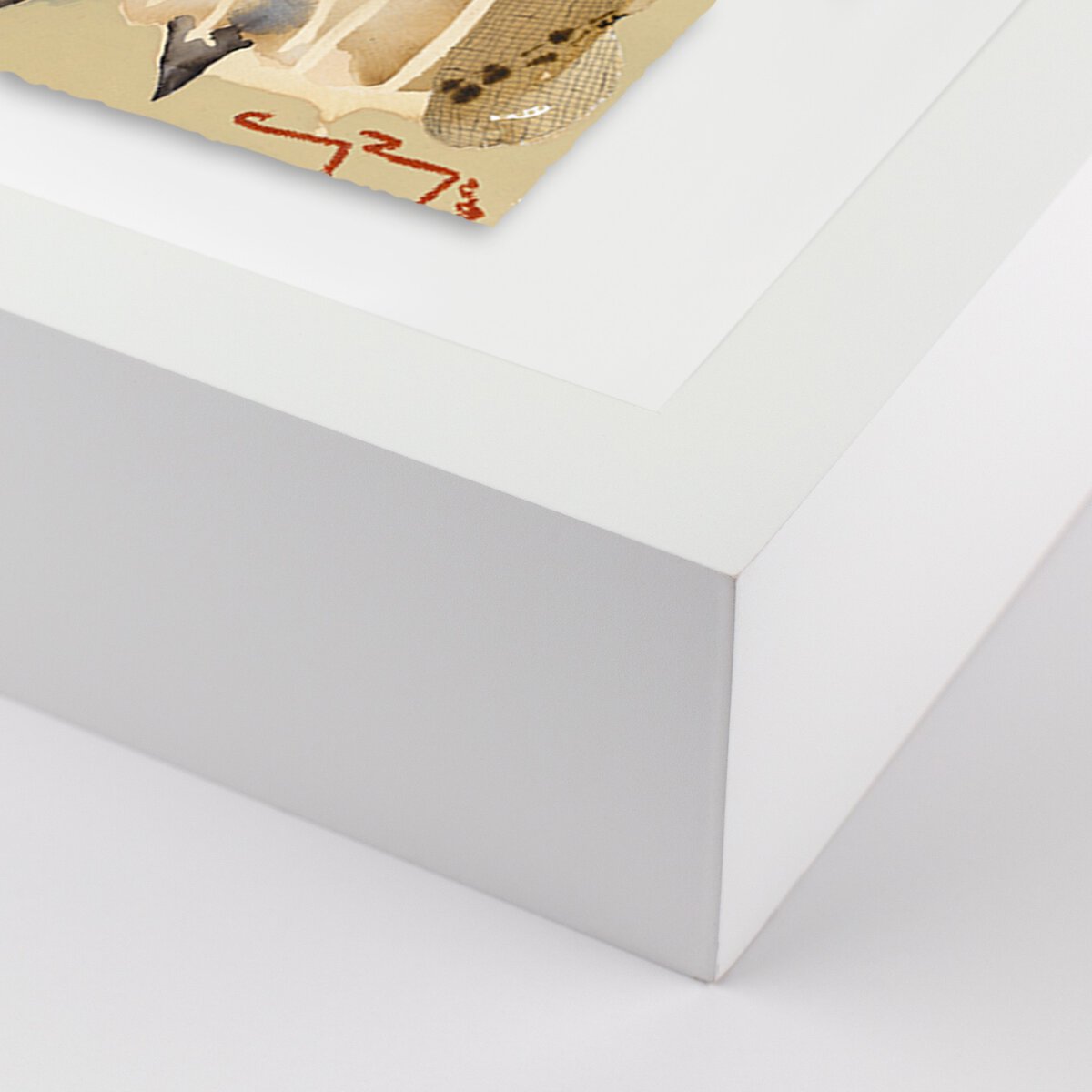 Sun King by Caroline Pinney