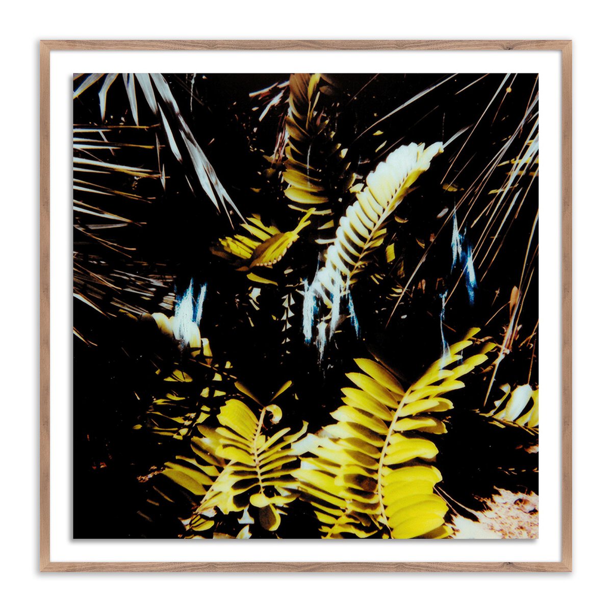 Baja Polaroid No. 1 by Ella Virginia West