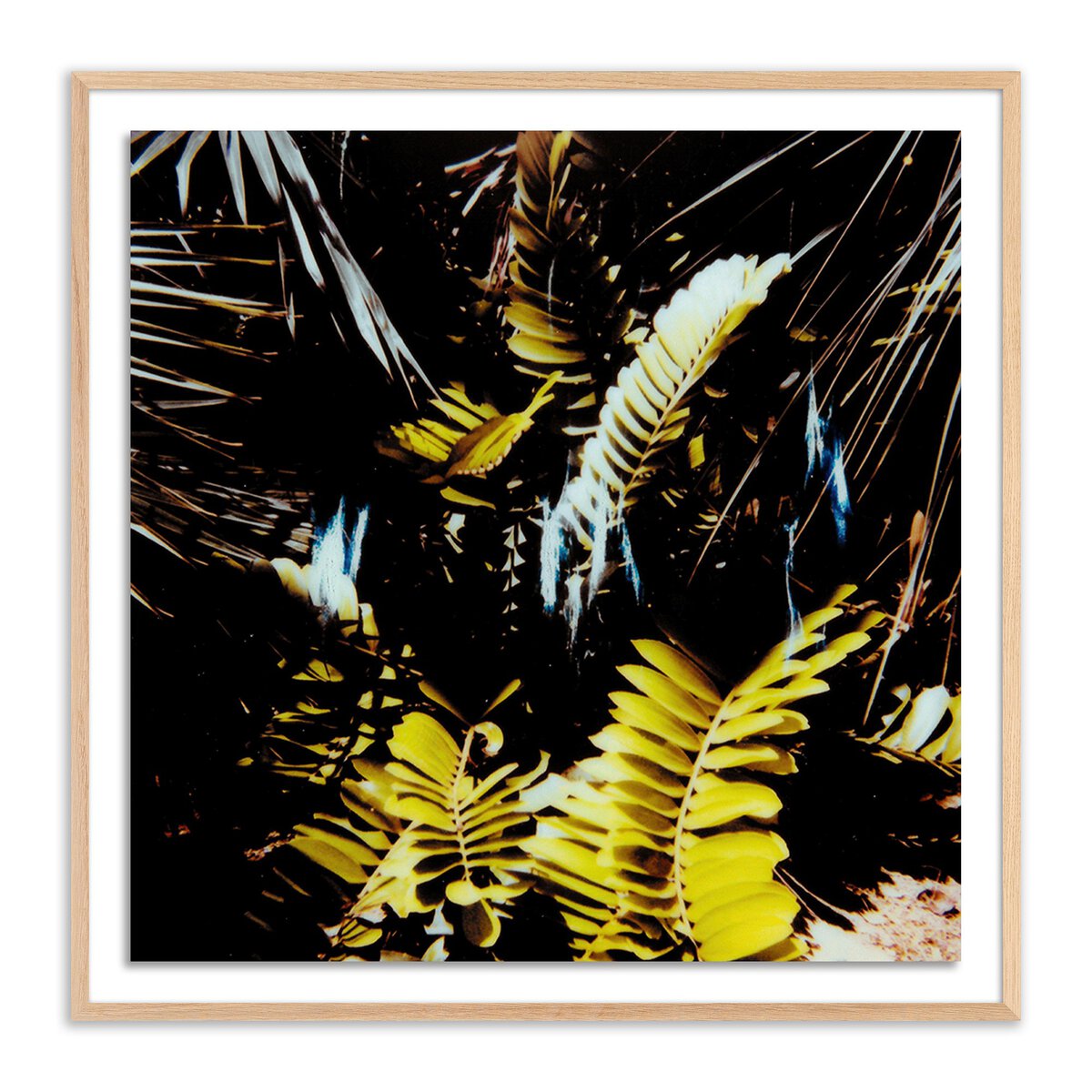 Baja Polaroid No. 1 by Ella Virginia West