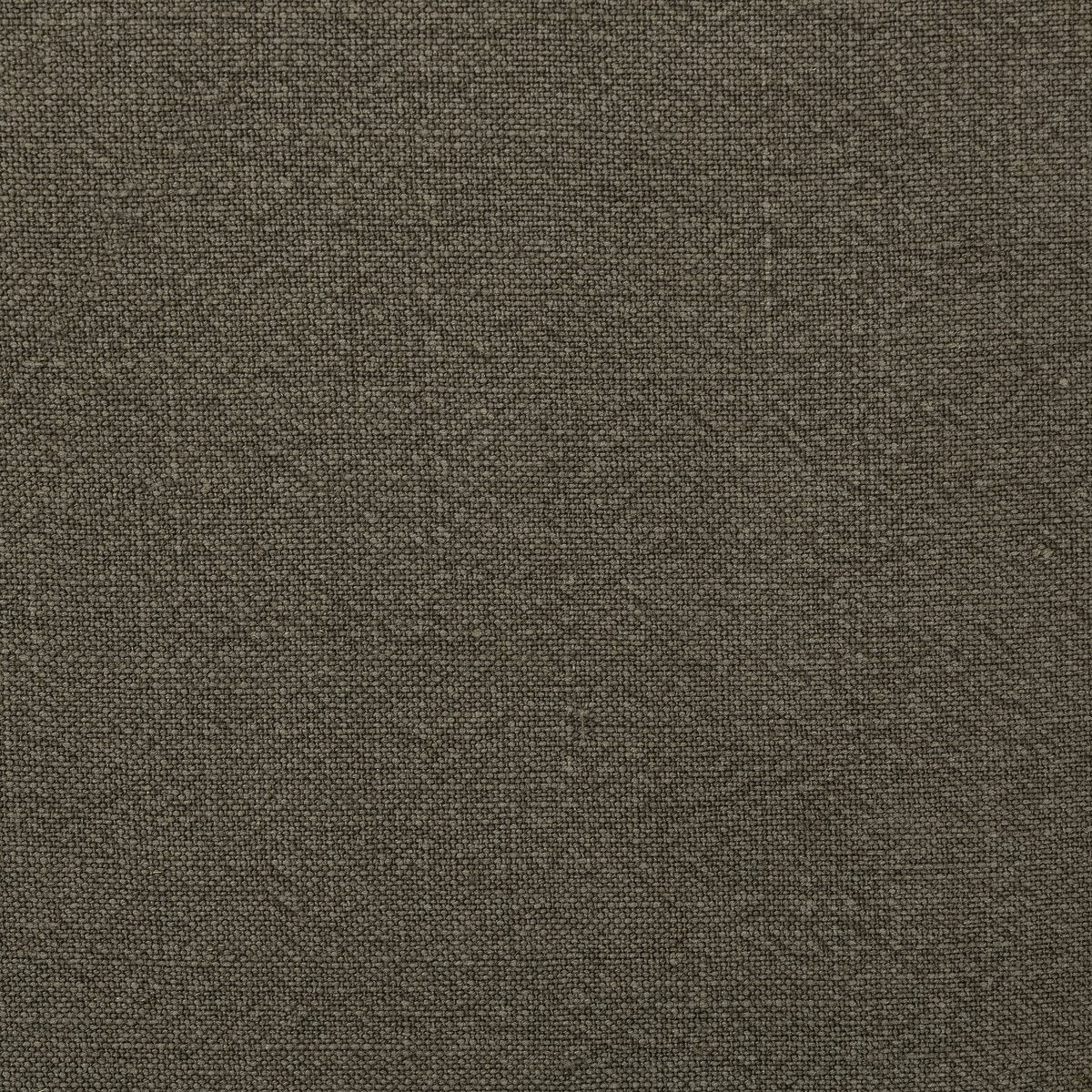 Broadway Olive