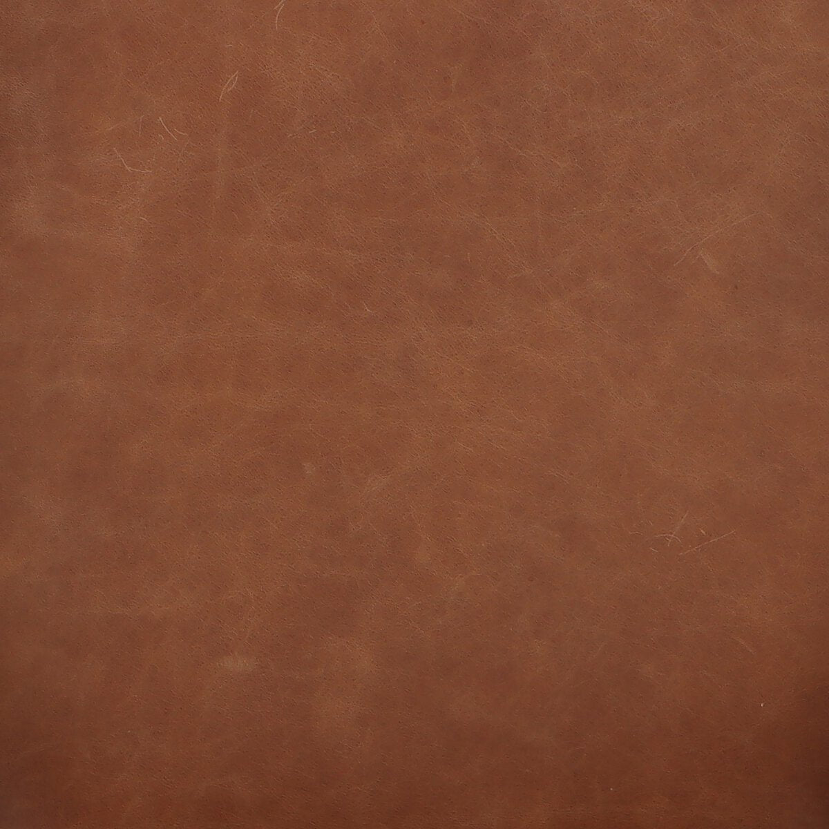 Sonoma Chestnut