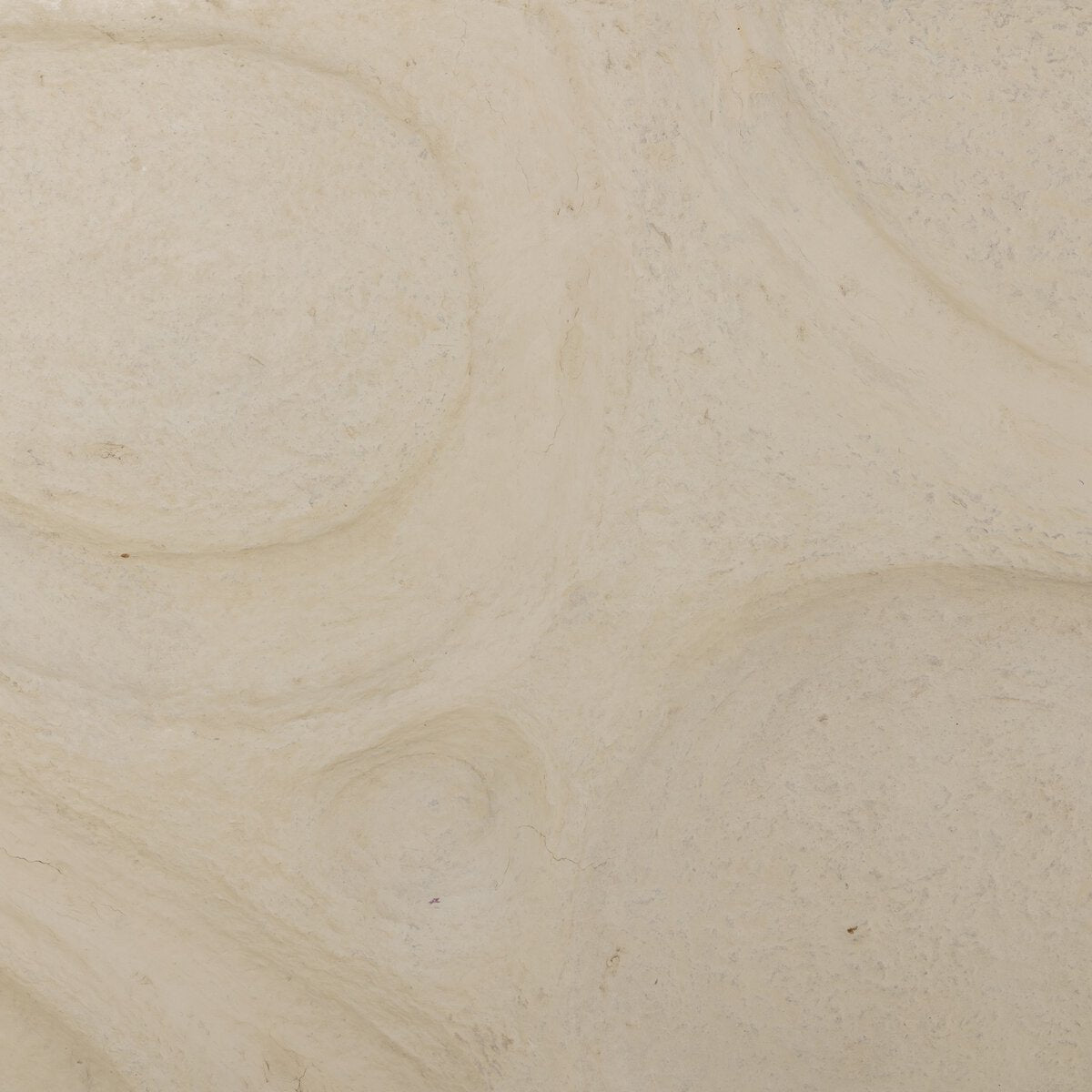 Organic Relief Sculpture