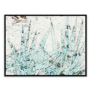 Study Of Blue Agave by Douglas Galloway