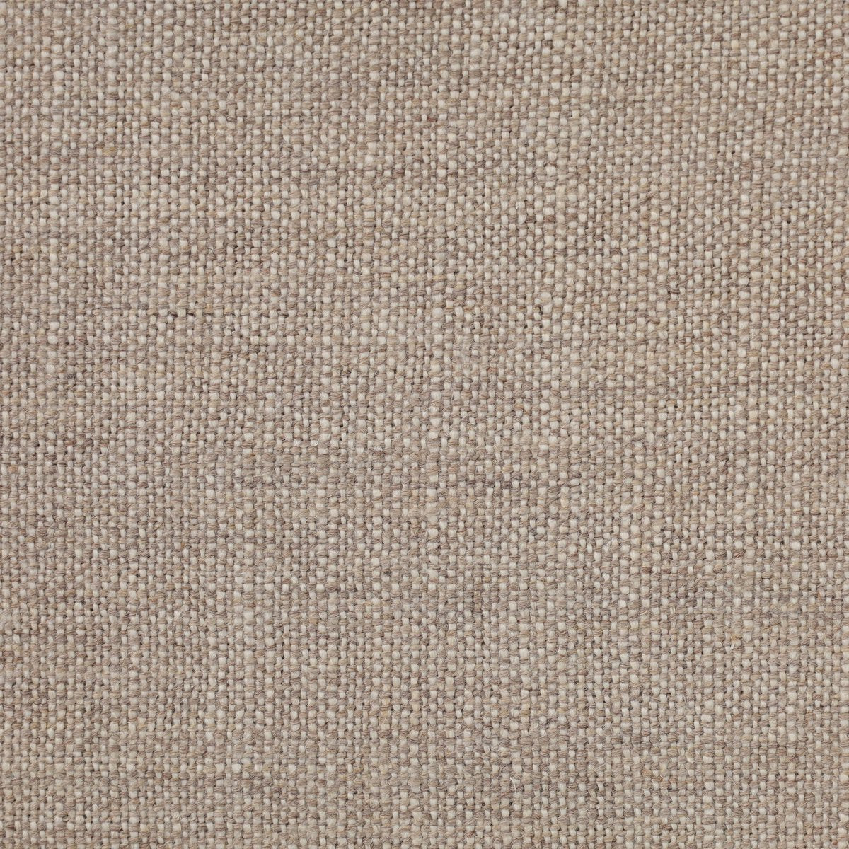 Alcala Wheat