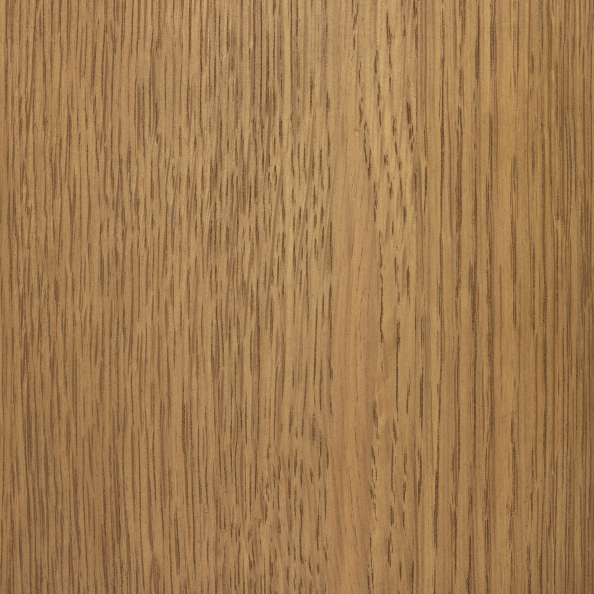 Kenoa Table Lamp