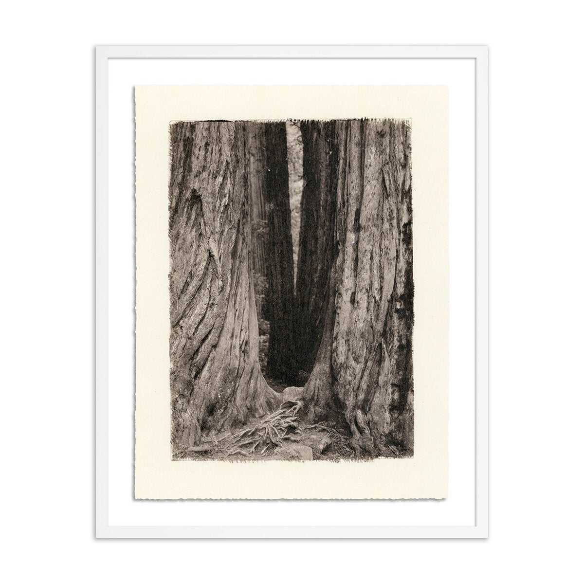 Redwoods Magical Portal by Platinum Revival