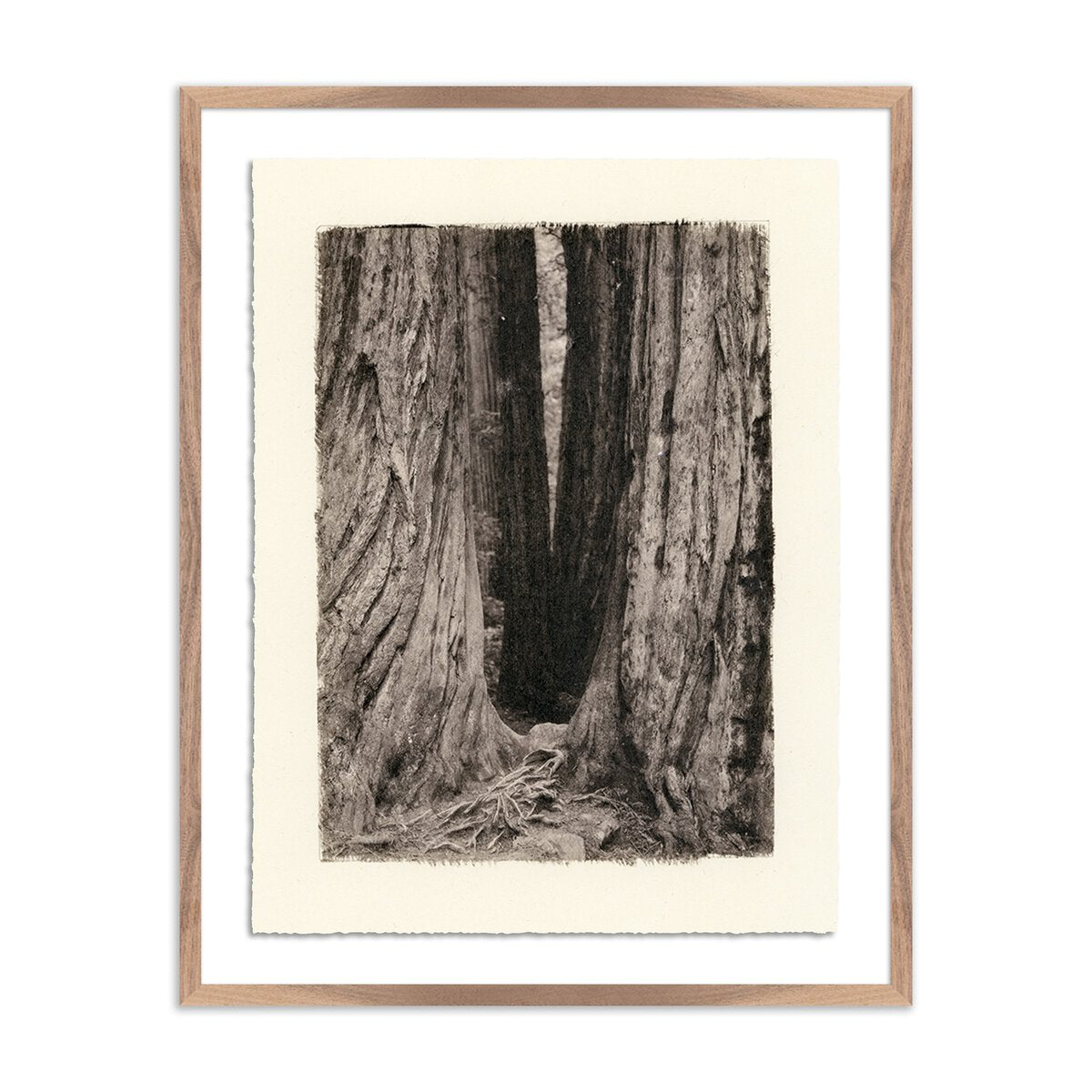 Redwoods Magical Portal by Platinum Revival