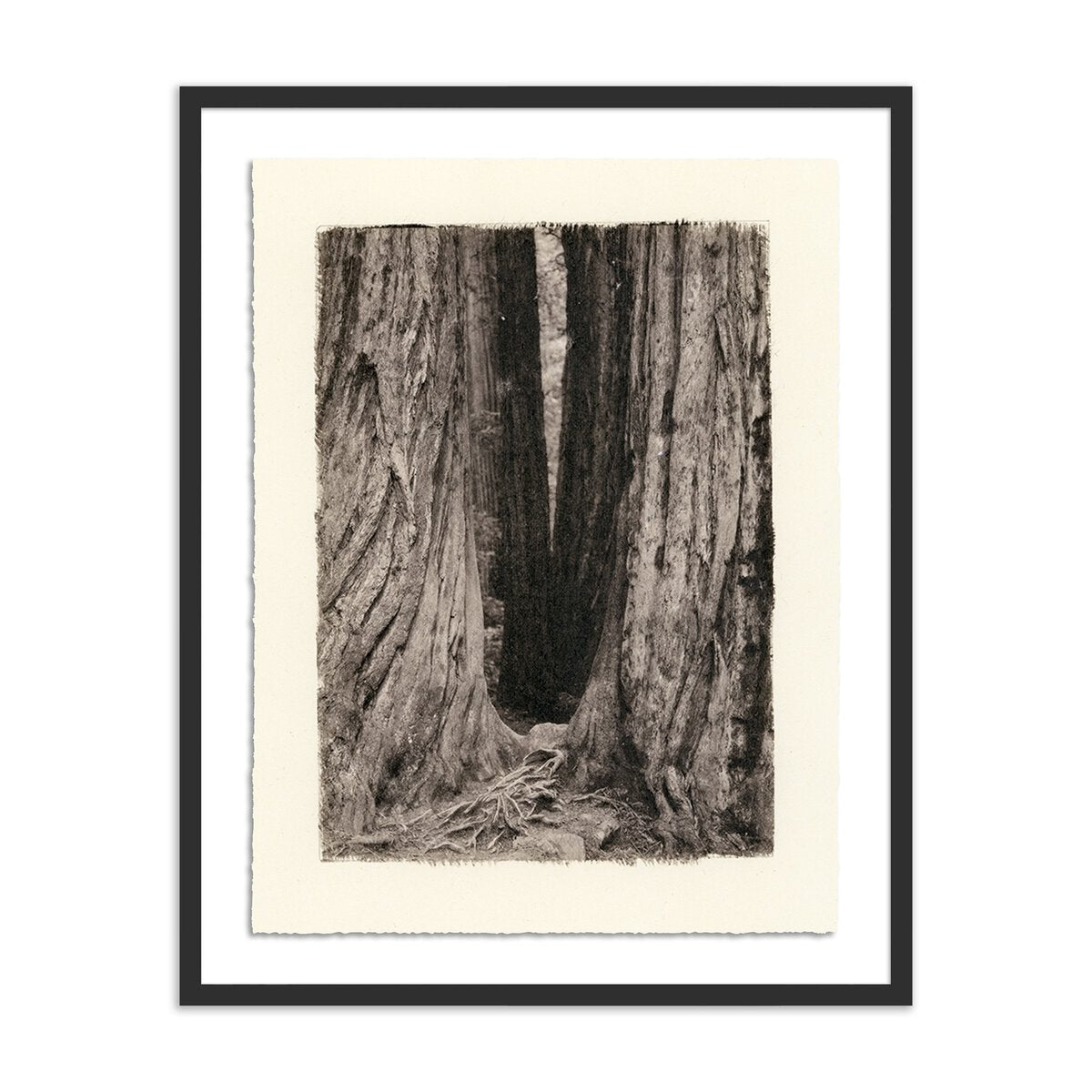Redwoods Magical Portal by Platinum Revival