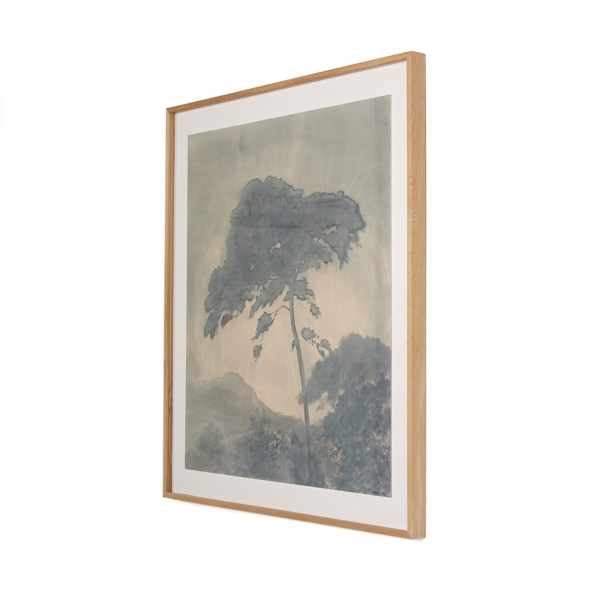 Canopy by Chelsea Fly