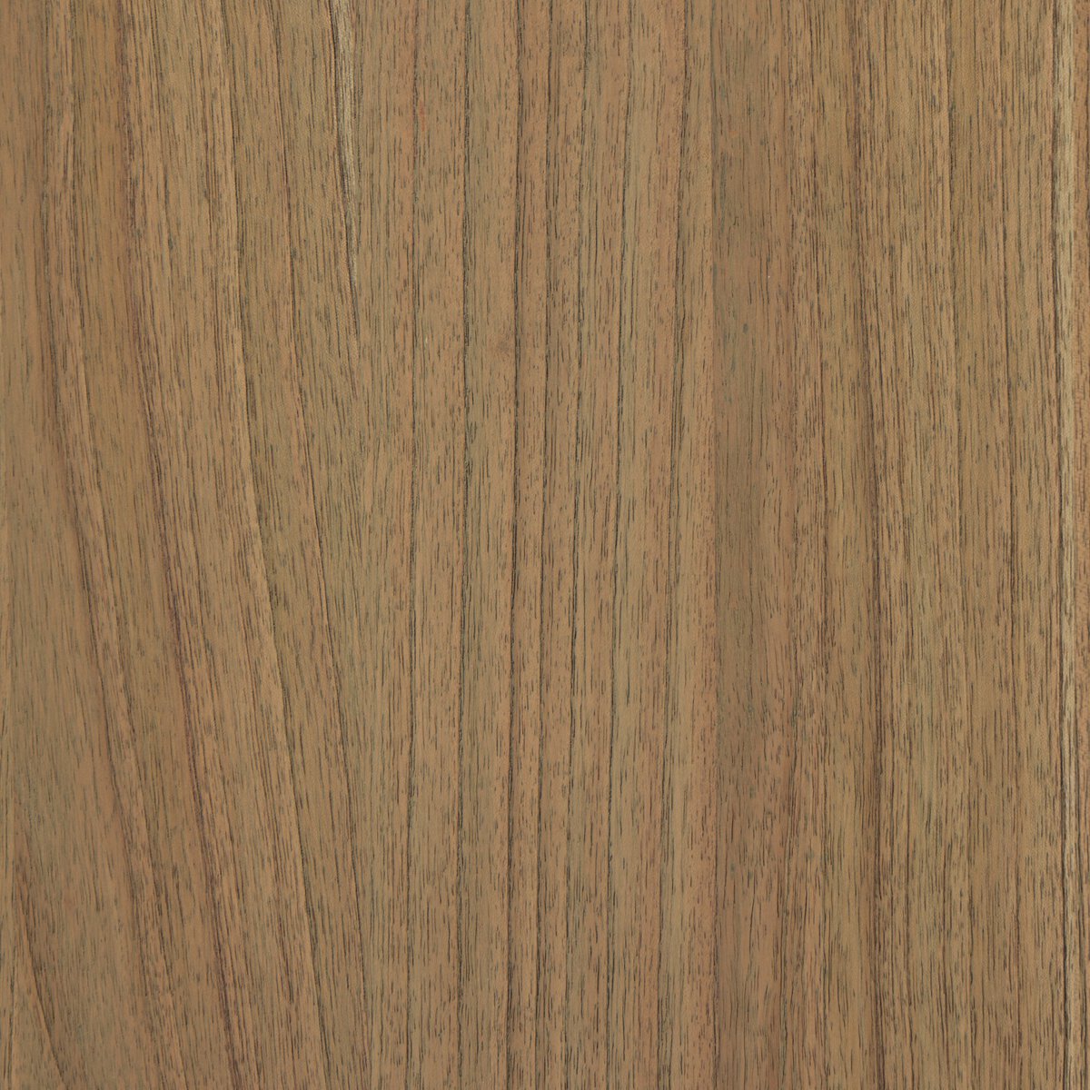 Boa Small Cabinet