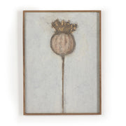 Poppy Dia by Paul Meyer